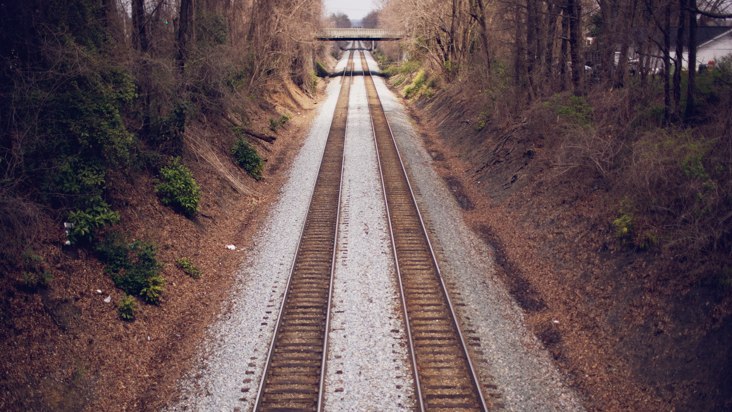 rail transportation, land, outdoors, day, track, diminishing perspective, 2K, no people, architecture, vanishing point, transportation, plant, parallel, HD Wallpaper