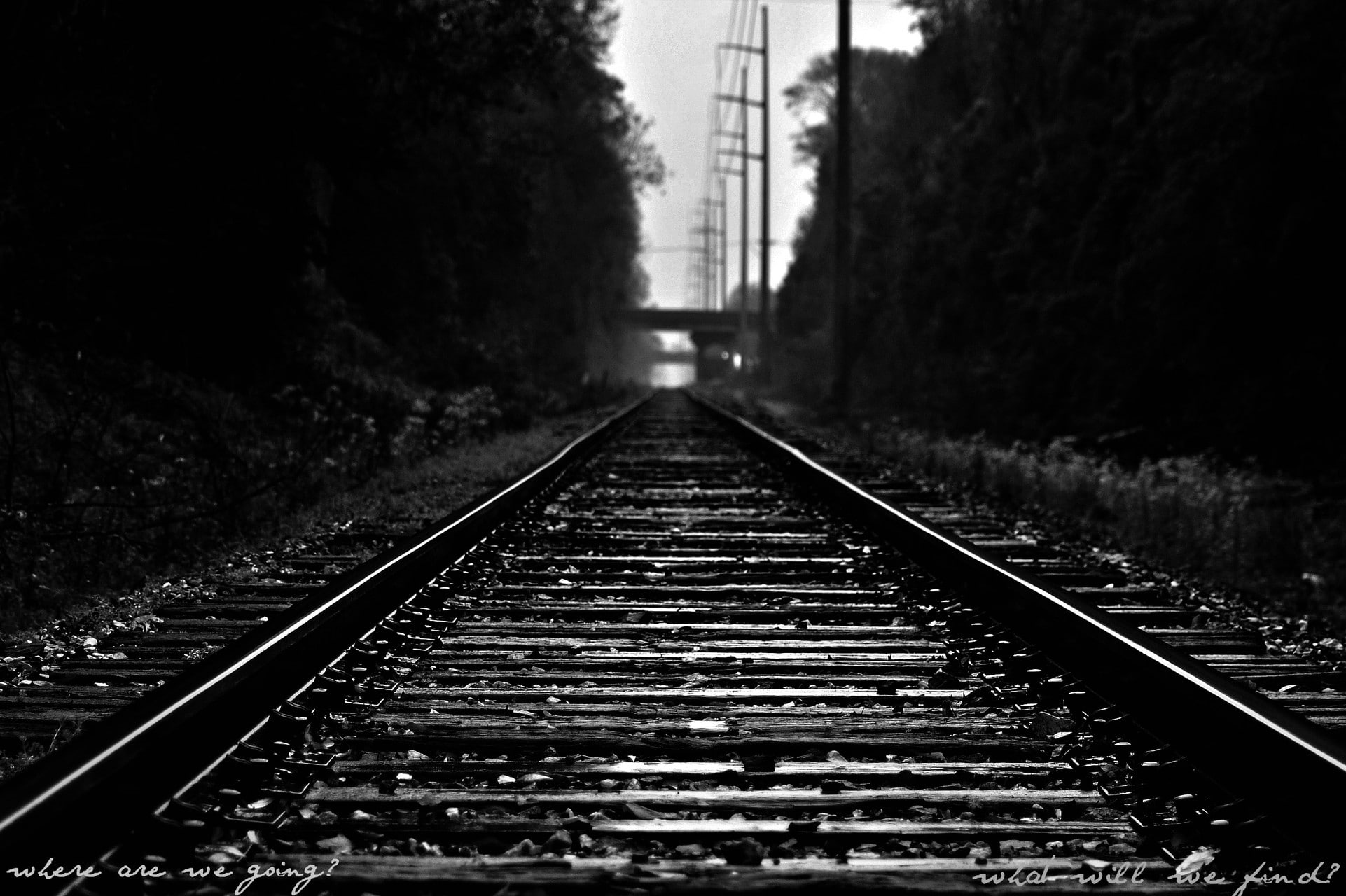 no people, straight, track, direction, metal, travel, day, nature, parallel, tree, long, 1080P, plant, surface level, transportation, railroad track, mode of transportation, HD Wallpaper