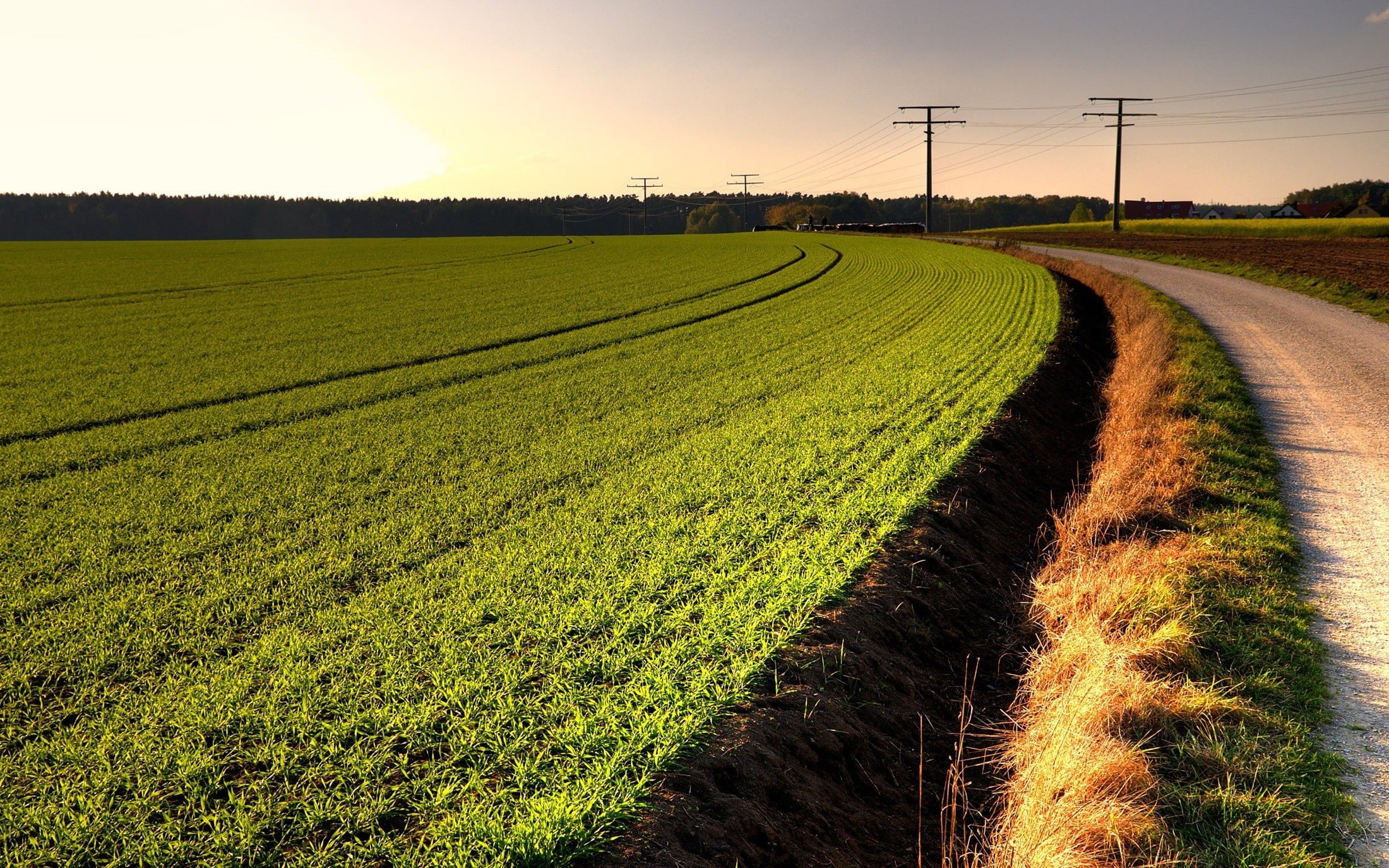 rural scene, nature, sunlight, power supply, sky, agriculture, beauty in nature, outdoors, growth, scenics - nature, landscape, electricity, environment, HD Wallpaper