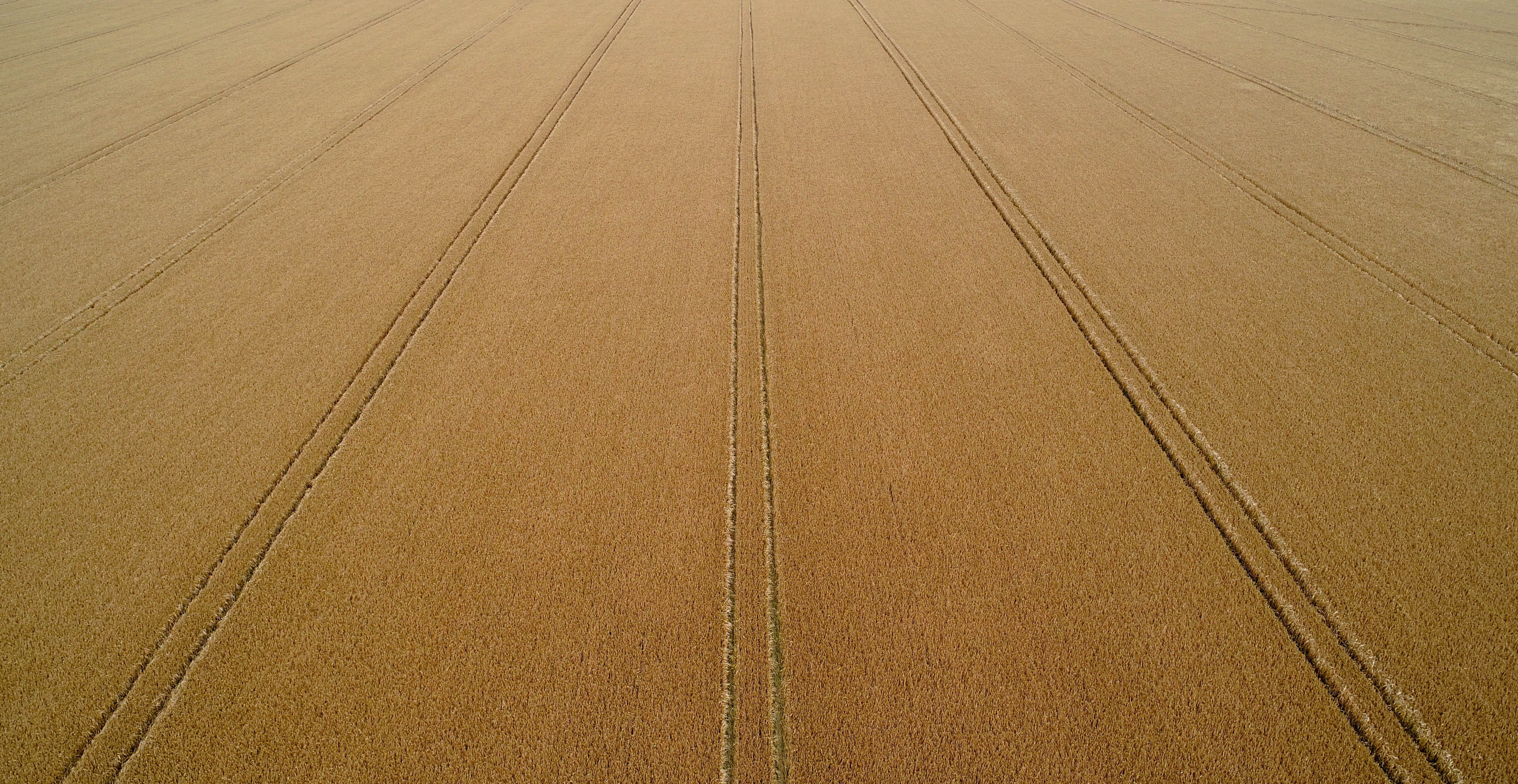 field, british countryside, pattern, tire track, wheat, parallel, nature, rural scene, land, the way forward, symmetry, aerial, untitled, high angle view, HD Wallpaper