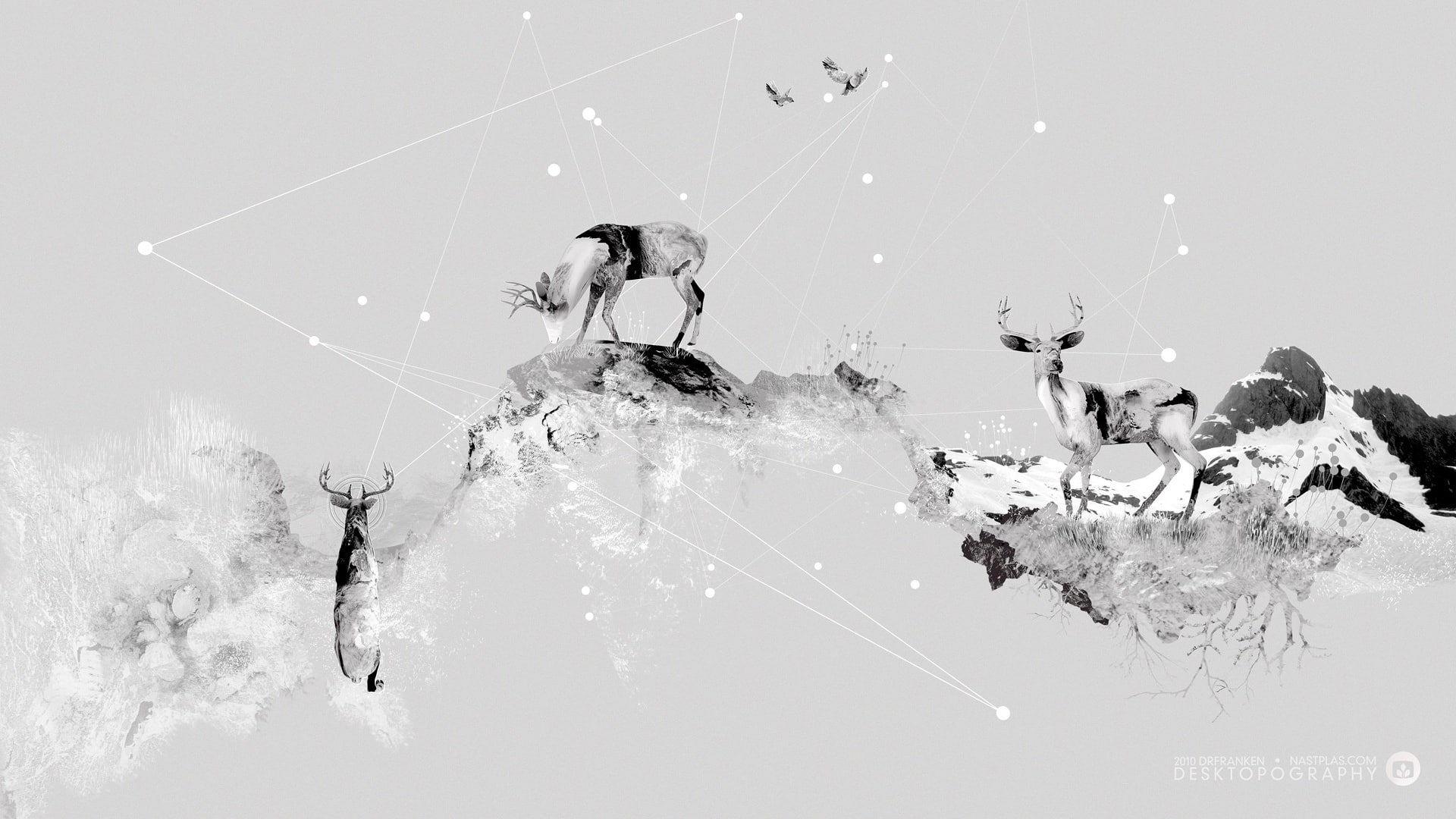 deer, gray, grey, abstract, digital/artwork, 1080P, hd, HD Wallpaper