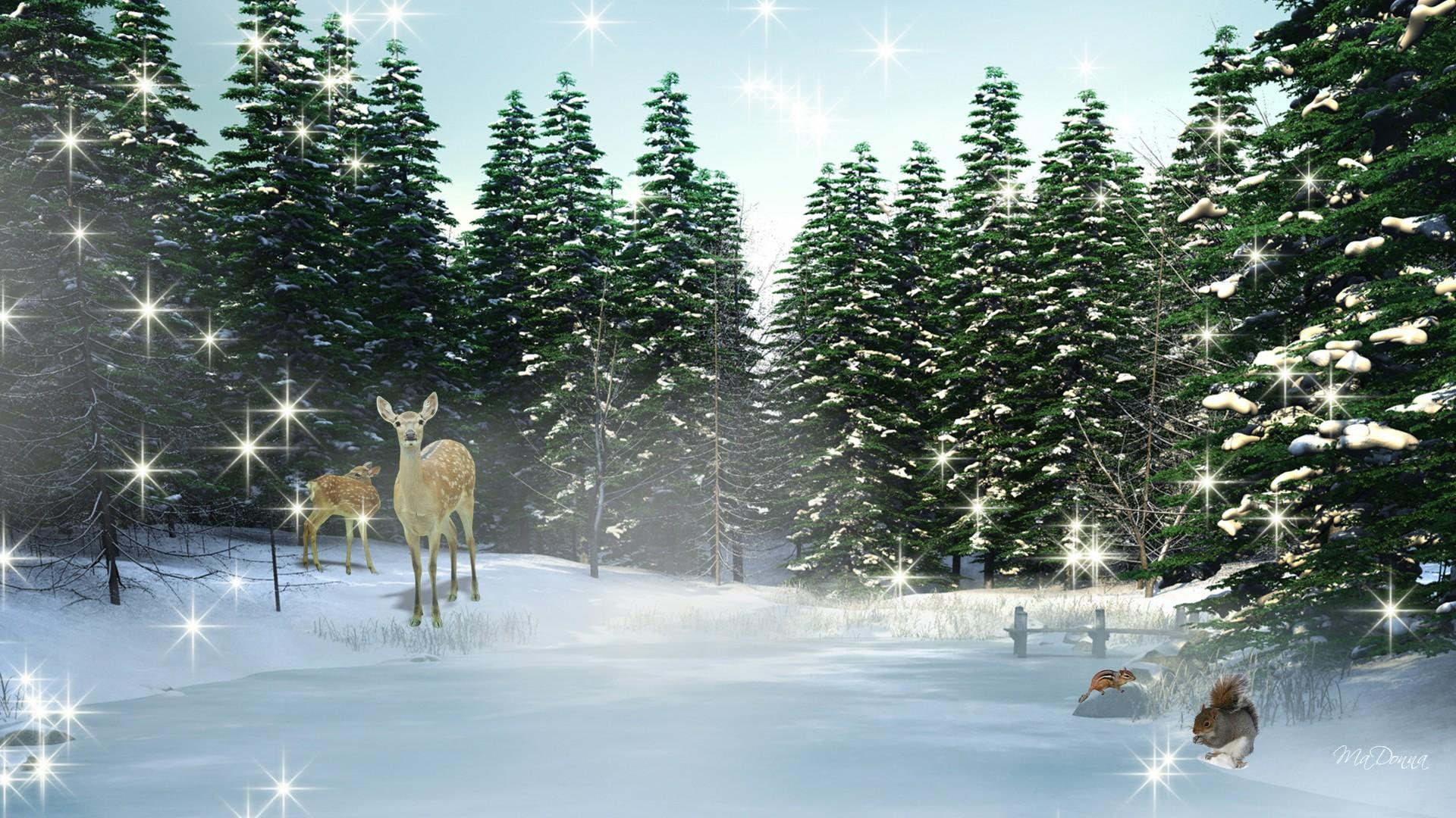 squirrel, bright, cold, day, chipmunk, winter, 1080P, trees, deer, 3d and abstract, snow, HD Wallpaper