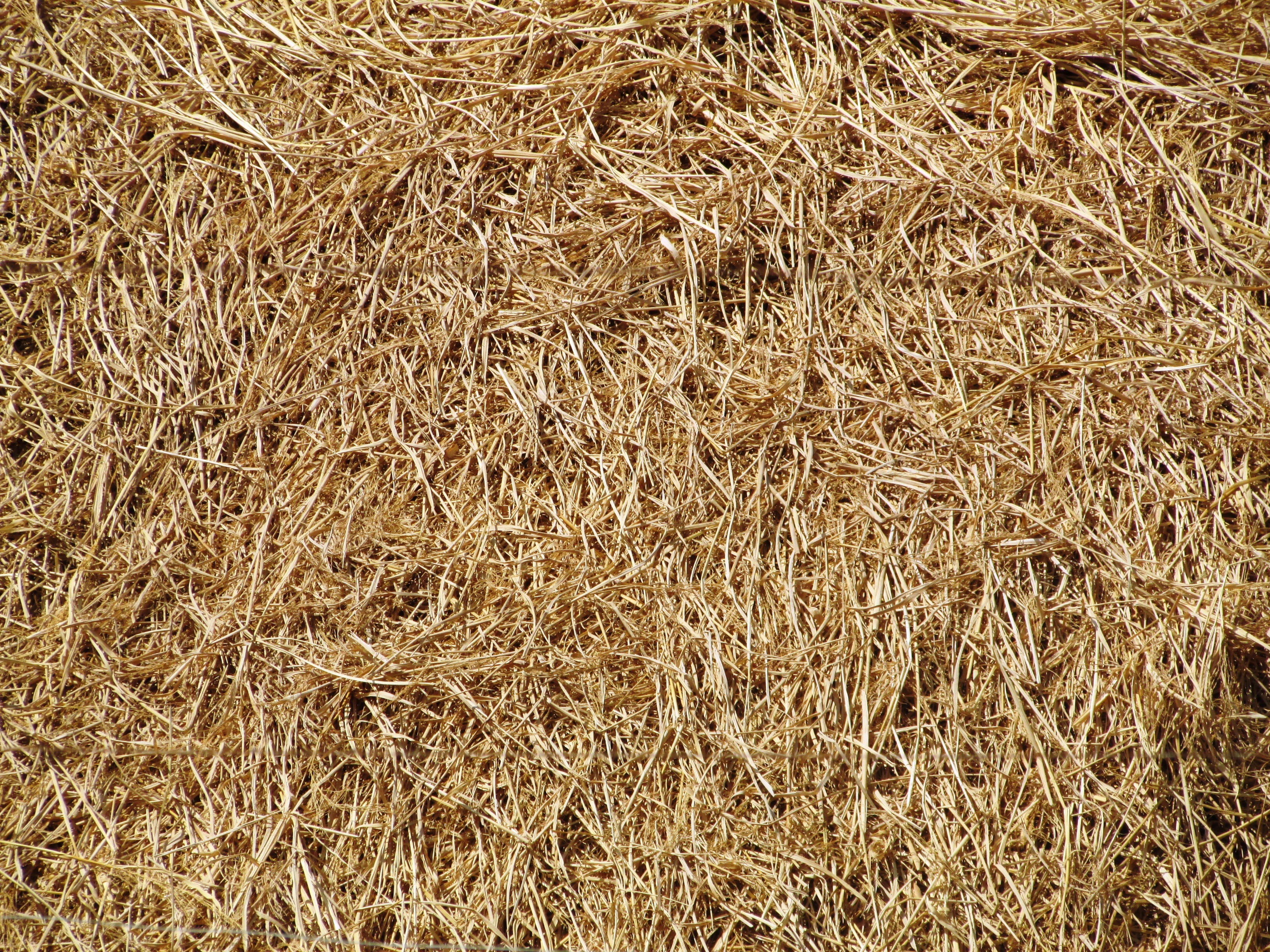 haystack, no people, full frame, Hay, 2K, brown, nature, agricultural, agriculture, high angle view, straw, dry, bale, backdrop, farming, outdoors, tranquility, HD Wallpaper