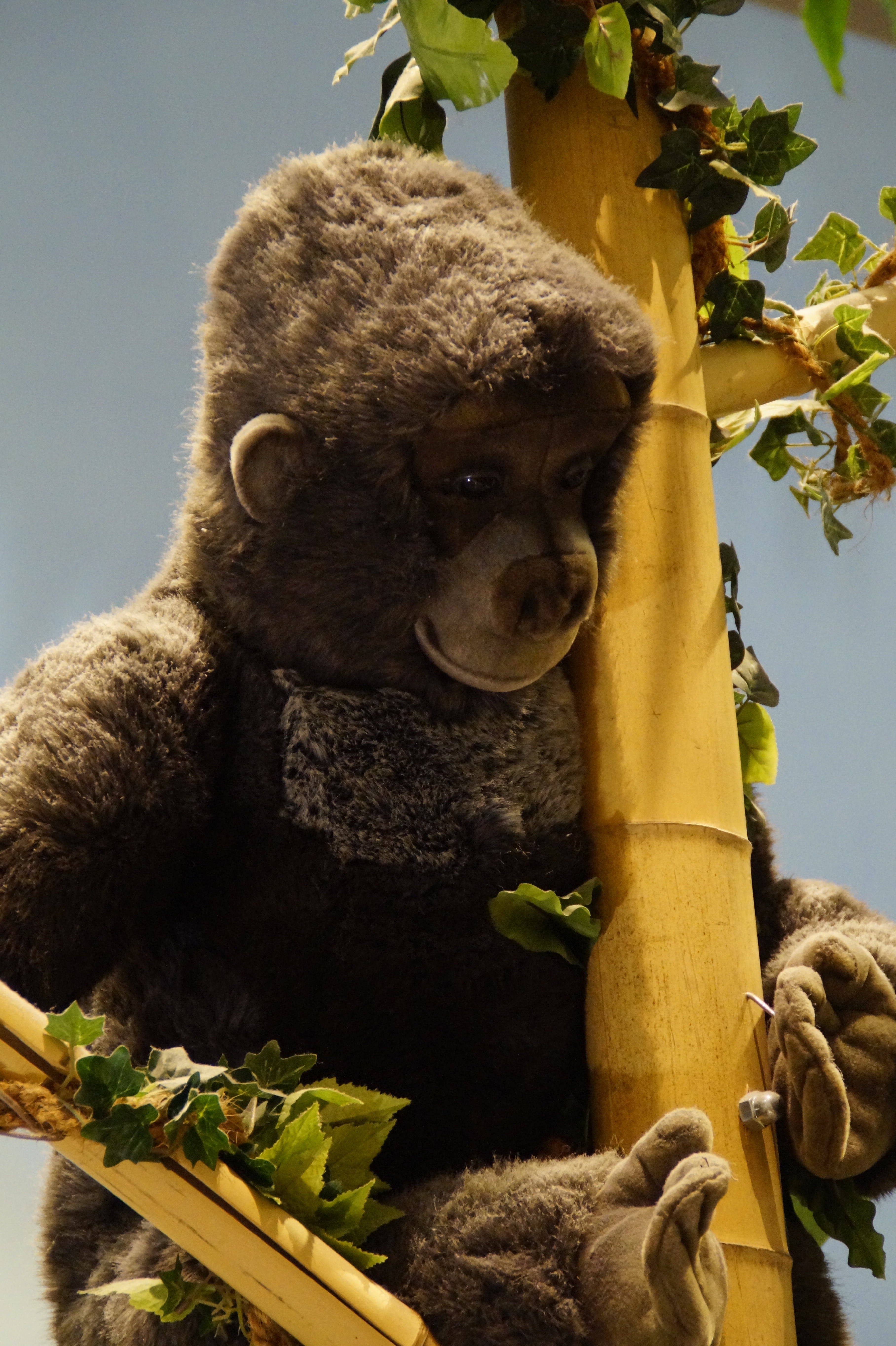 decoration, plant part, animal themes, animal head, day, nature, plant, replica, leaf, child, soft toy, gorilla, flower, steiff, toys, monkey, vertebrate, Phone HD Wallpaper