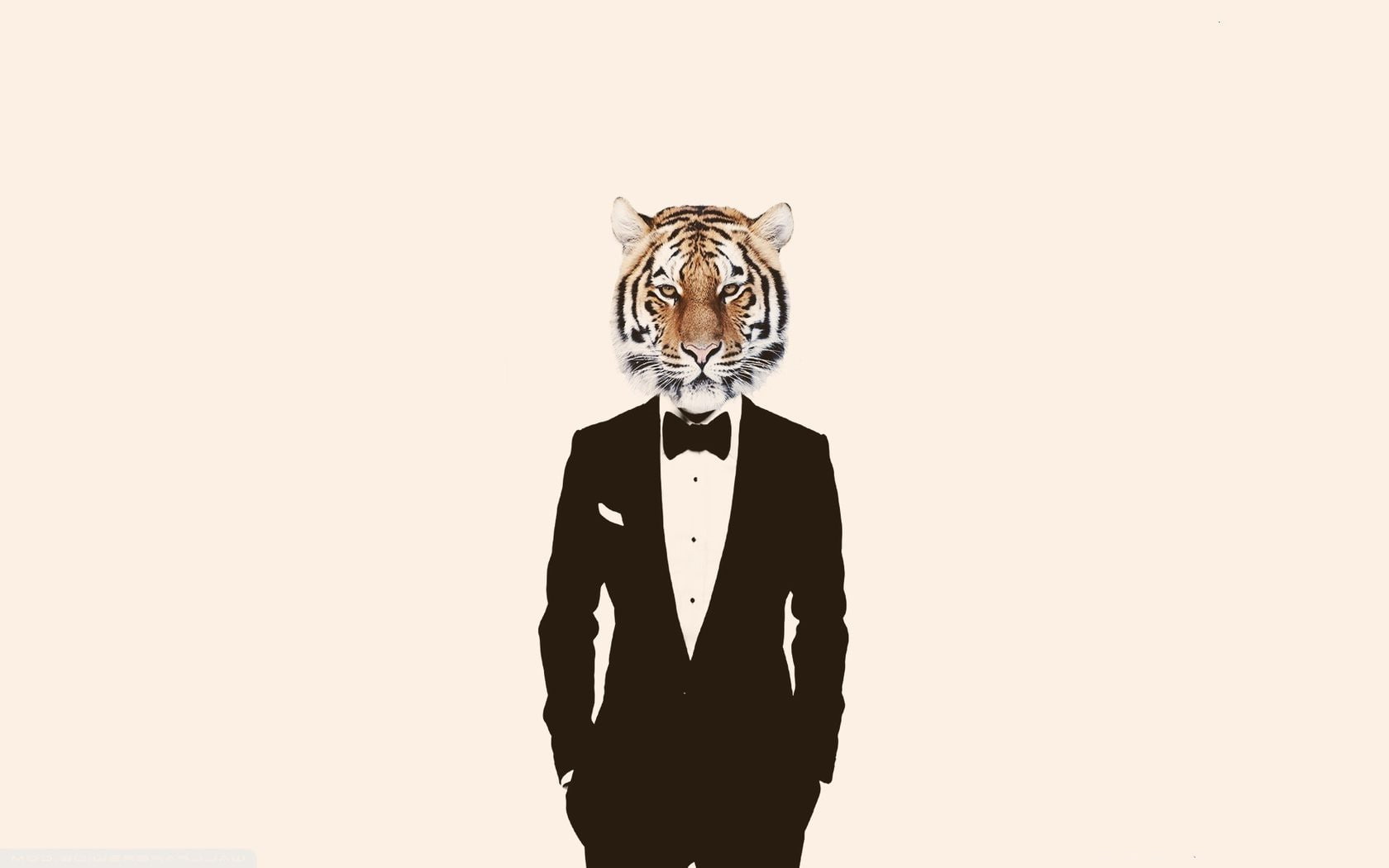 adult, animal imitation, human face, mask, standing, suit, mask - disguise, representation, waist up, indoors, digital composite, mammal, one person, portrait, HD Wallpaper