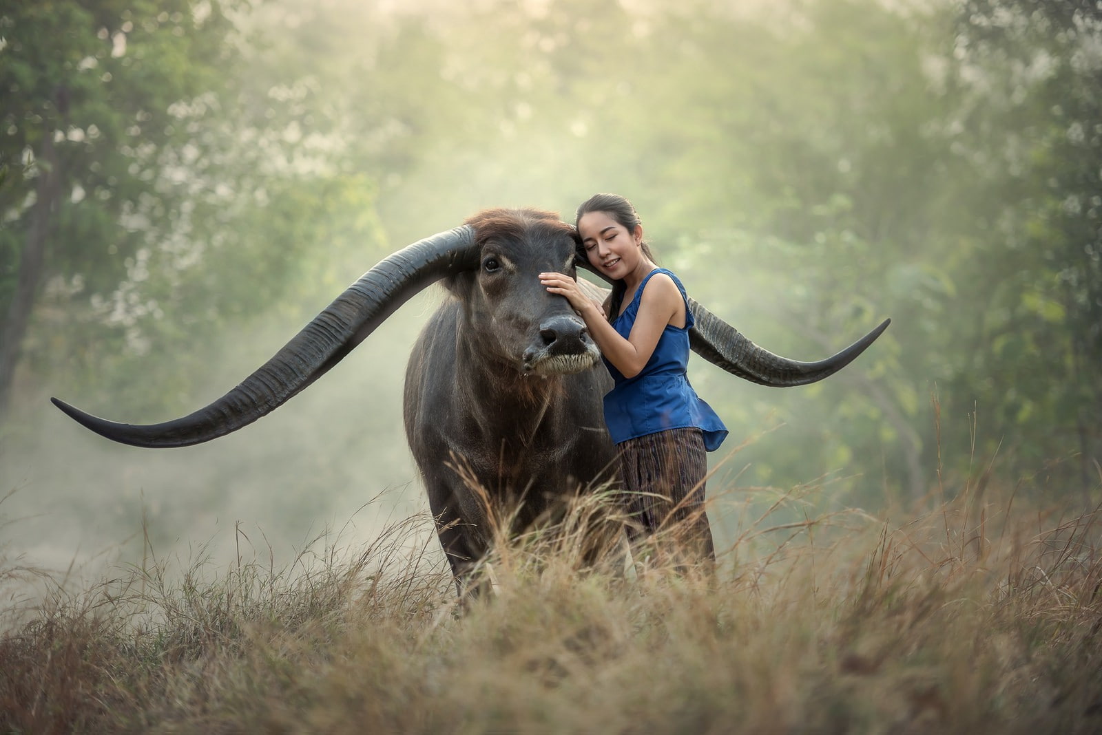 farmers, women, farm, people, 720P, Thailand, buffalo, anime, HD Wallpaper