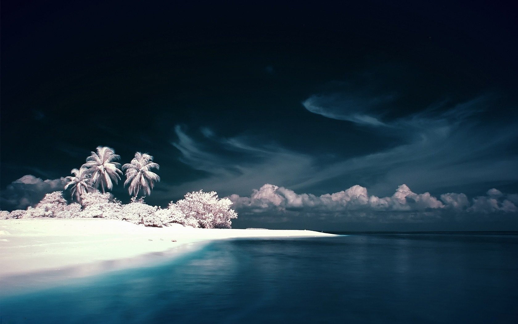 waterfront, idyllic, water, tranquil scene, land, palm trees, night, digital art, outdoors, sea, no people, beach, tree, 720P, plant, reflection, landscape, HD Wallpaper