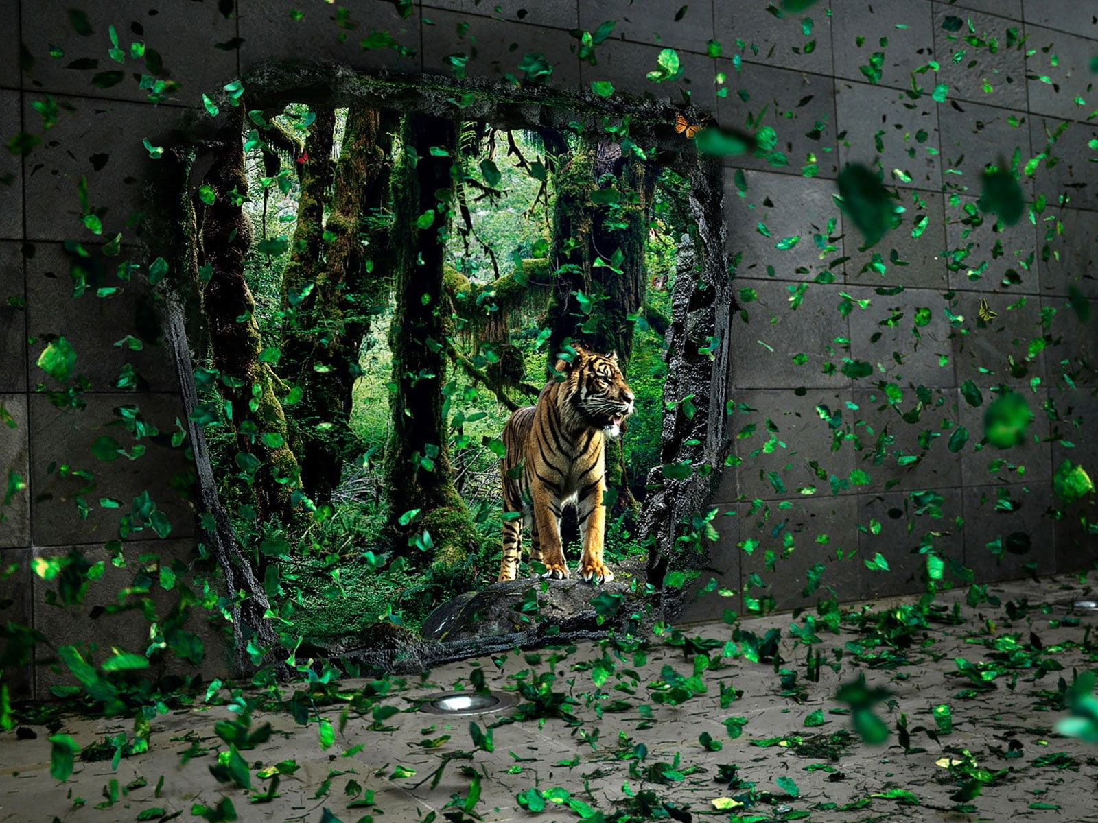people, girls, desktopography, 720P, hd, hot, persian, nature, art, x, Tigers, HD Wallpaper