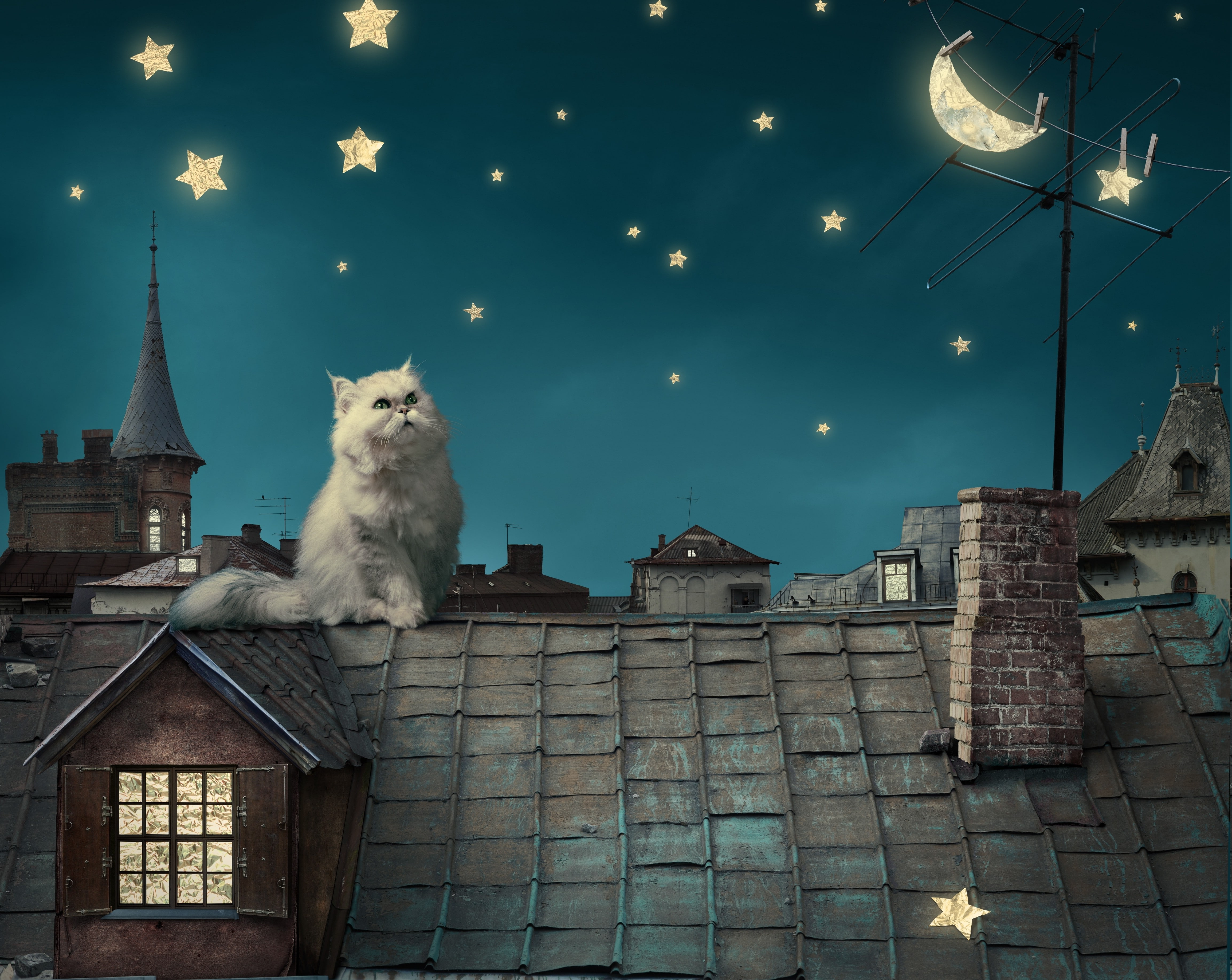 illuminated, no people, whisker, Persian Cat, animal themes, animal, Moon, one animal, sky, lighting equipment, low angle view, architecture, mammal, house, HD Wallpaper