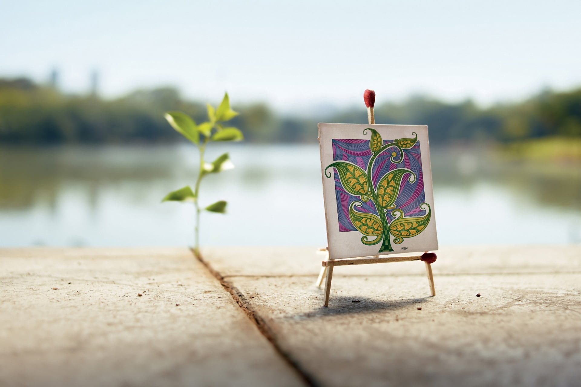 leafed, land, curlicues, floral pattern, beach, plates, leaf, symbol, matches, water, no people, focus on foreground, canvas, miniature, art and craft, HD Wallpaper