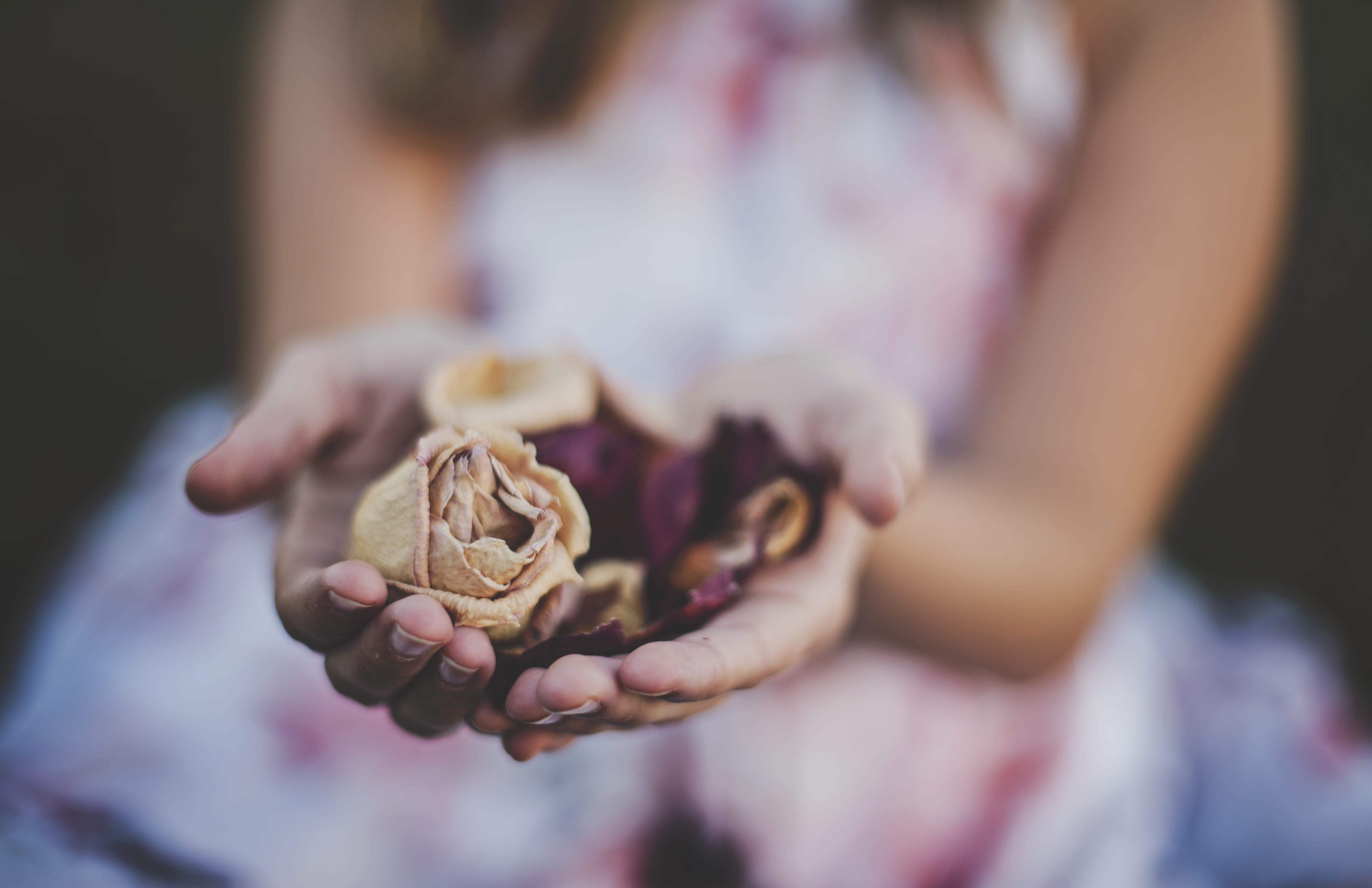 showing, selective, freshness, focus on foreground, human Hand, hand, photography, holding, child, girl, food and drink, focus, Pusher, dired flowers, beige, HD Wallpaper