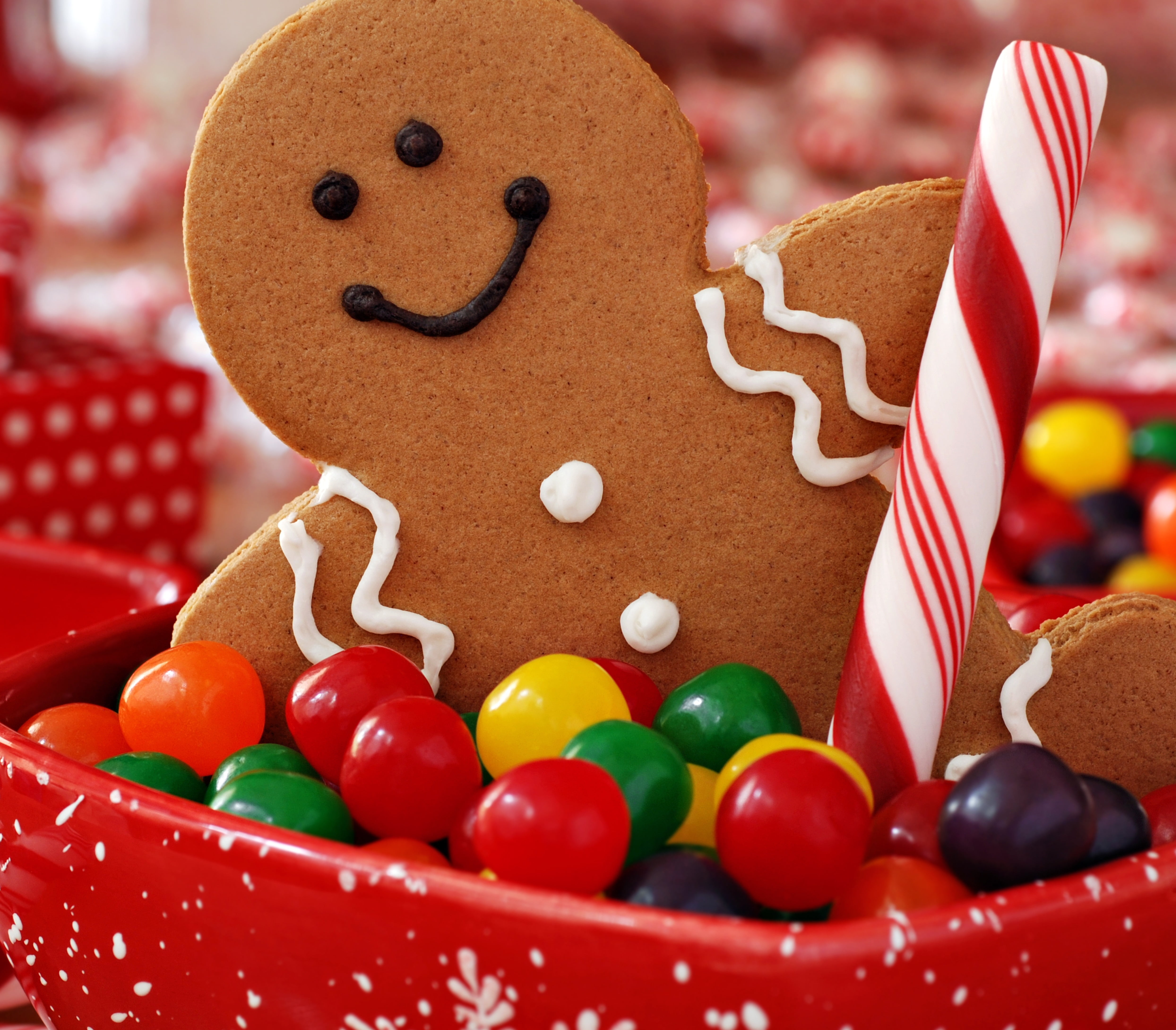 snack, red, gift, cultures, cookies, christmas, multi Colored, holiday, ginger, cookie, christmas cake, sweet, celebration, decoration, new year, bread, HD Wallpaper