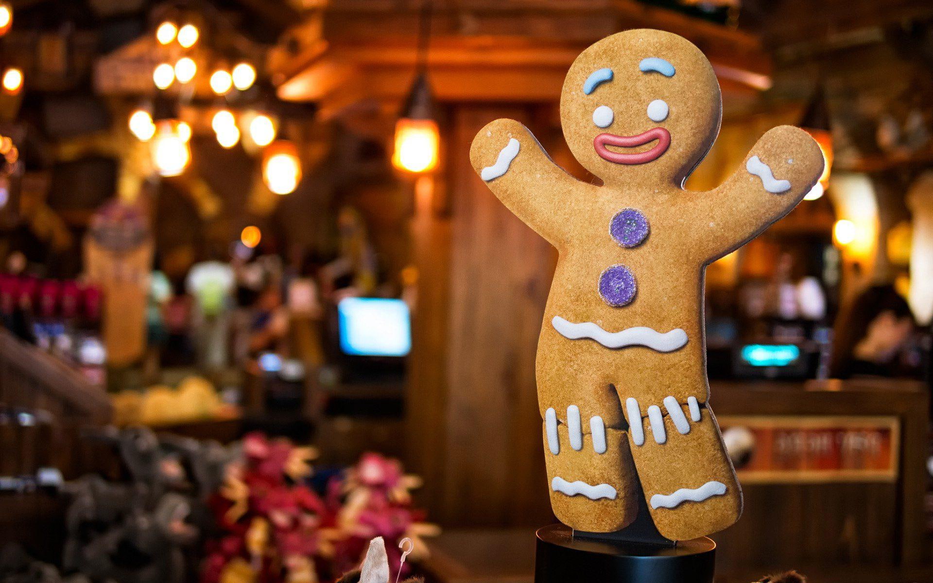 man, gingerbread man, gingerbread, 1920x1200, 1080P, HD Wallpaper