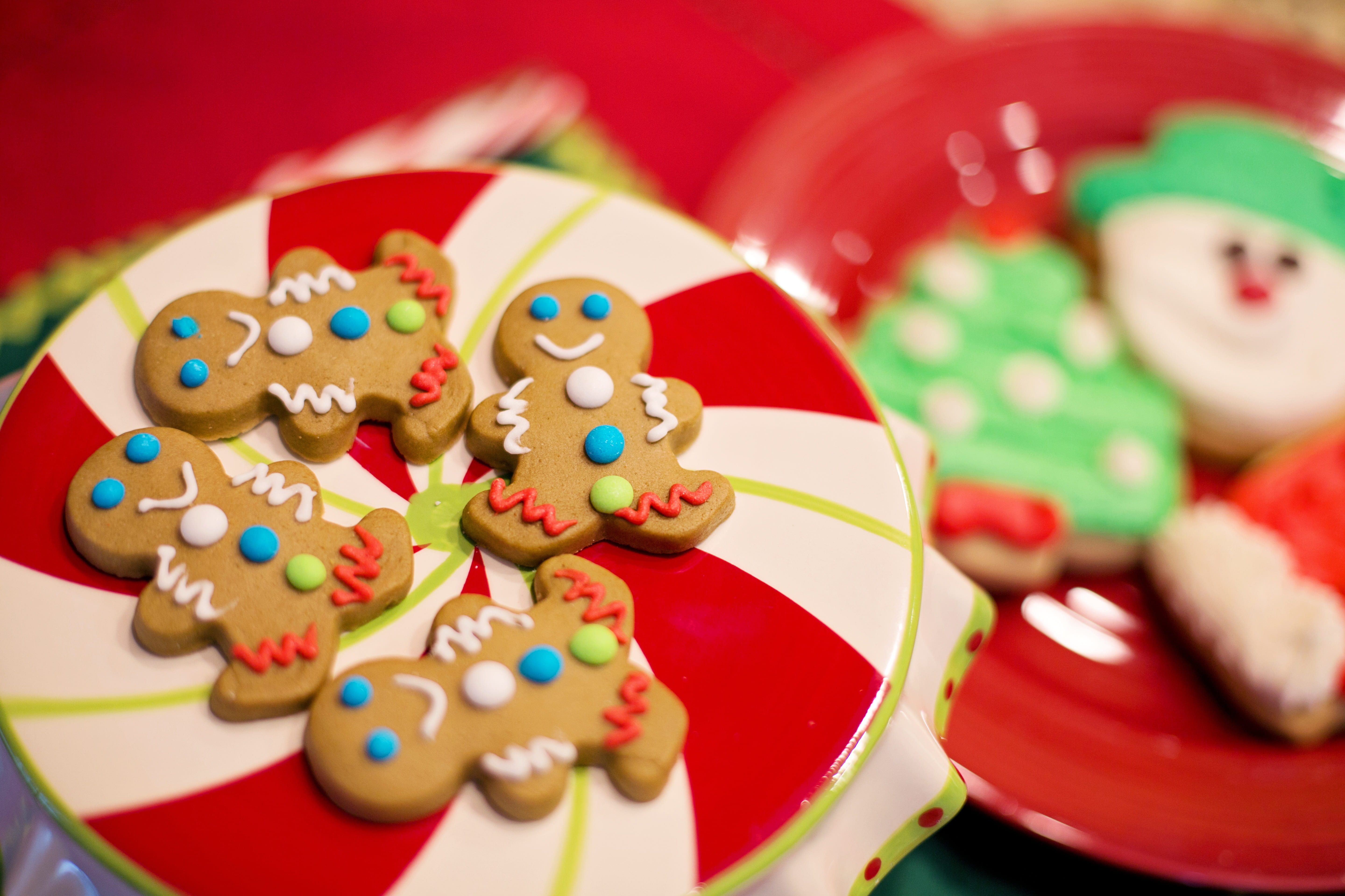 food, snack, plate, 5K, christmas cookies, seasonal, selective focus, gingerbread, celebration, multi colored, candy, xmas, ginger, christmas, red, sweet food, HD Wallpaper