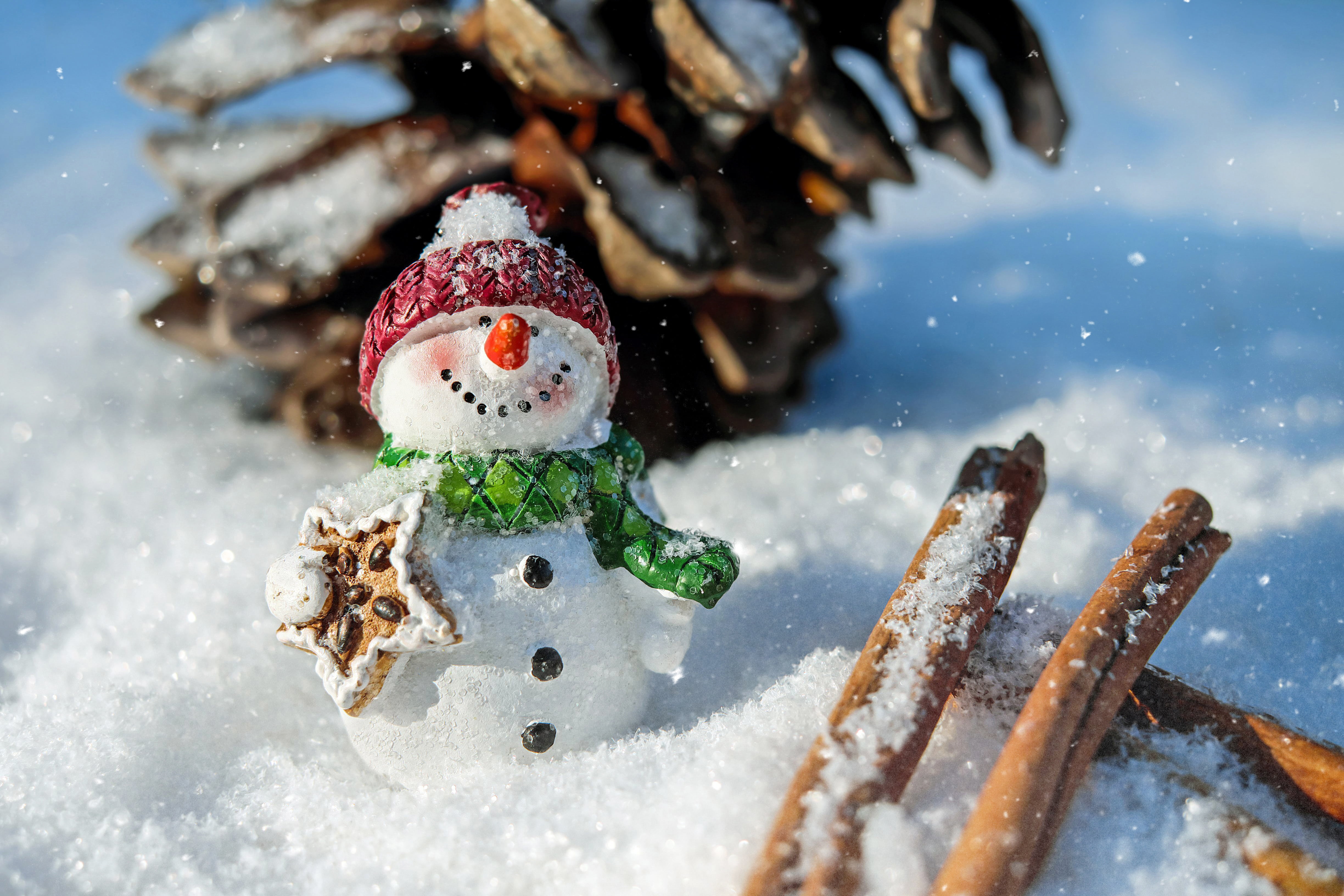 food, sweet, dessert, funny, cap, photo, no people, eismann, temptation, winter, snowman, scarf, cinnamon sticks, wintry, closeup, sweet food, nature, christmas, HD Wallpaper