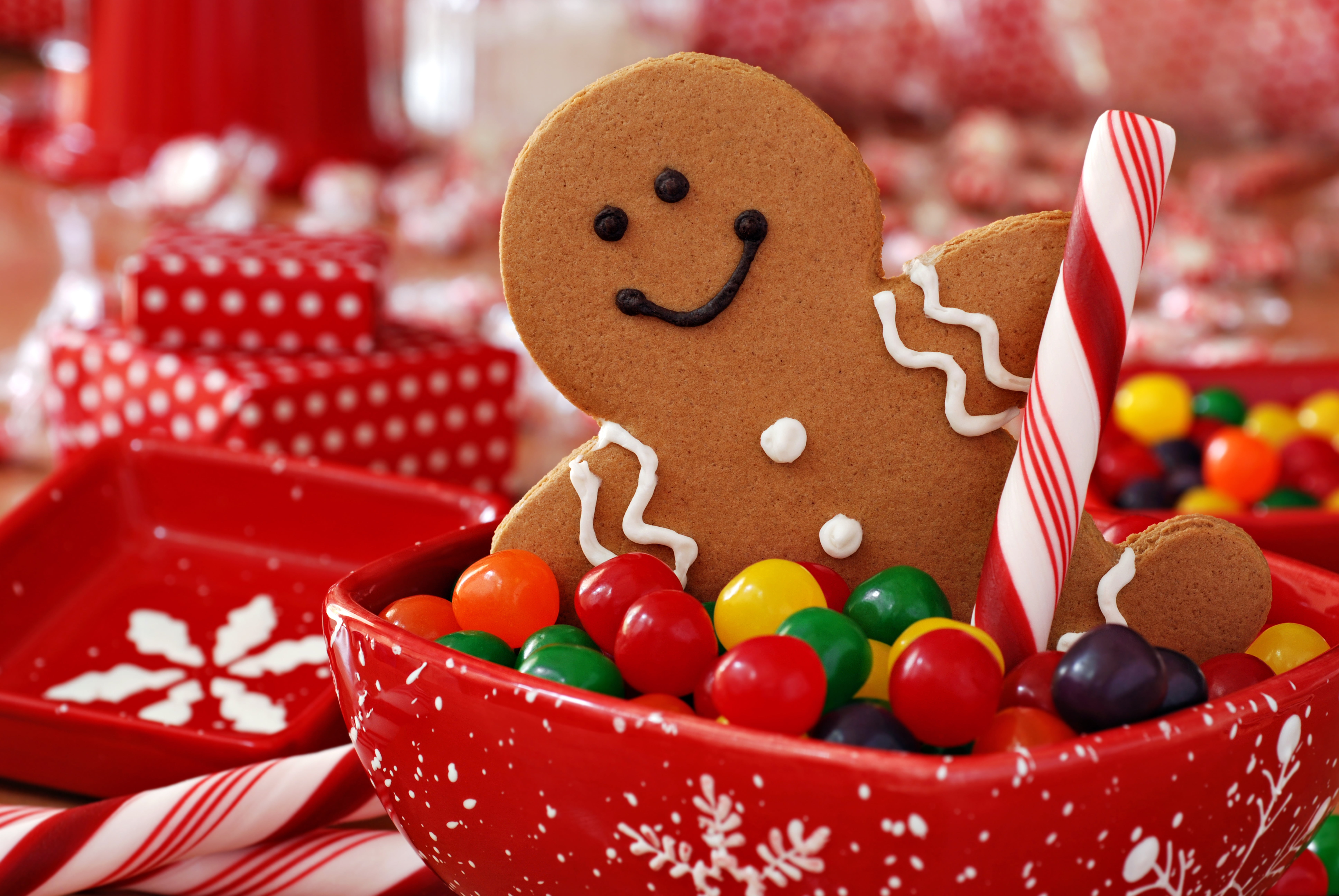 close-up, bowl, ceramic, celebration, 8K, multi Colored, cultures, New year, cookies, cookie, chocolate, food And Drink, gourmet, focus on foreground, HD Wallpaper