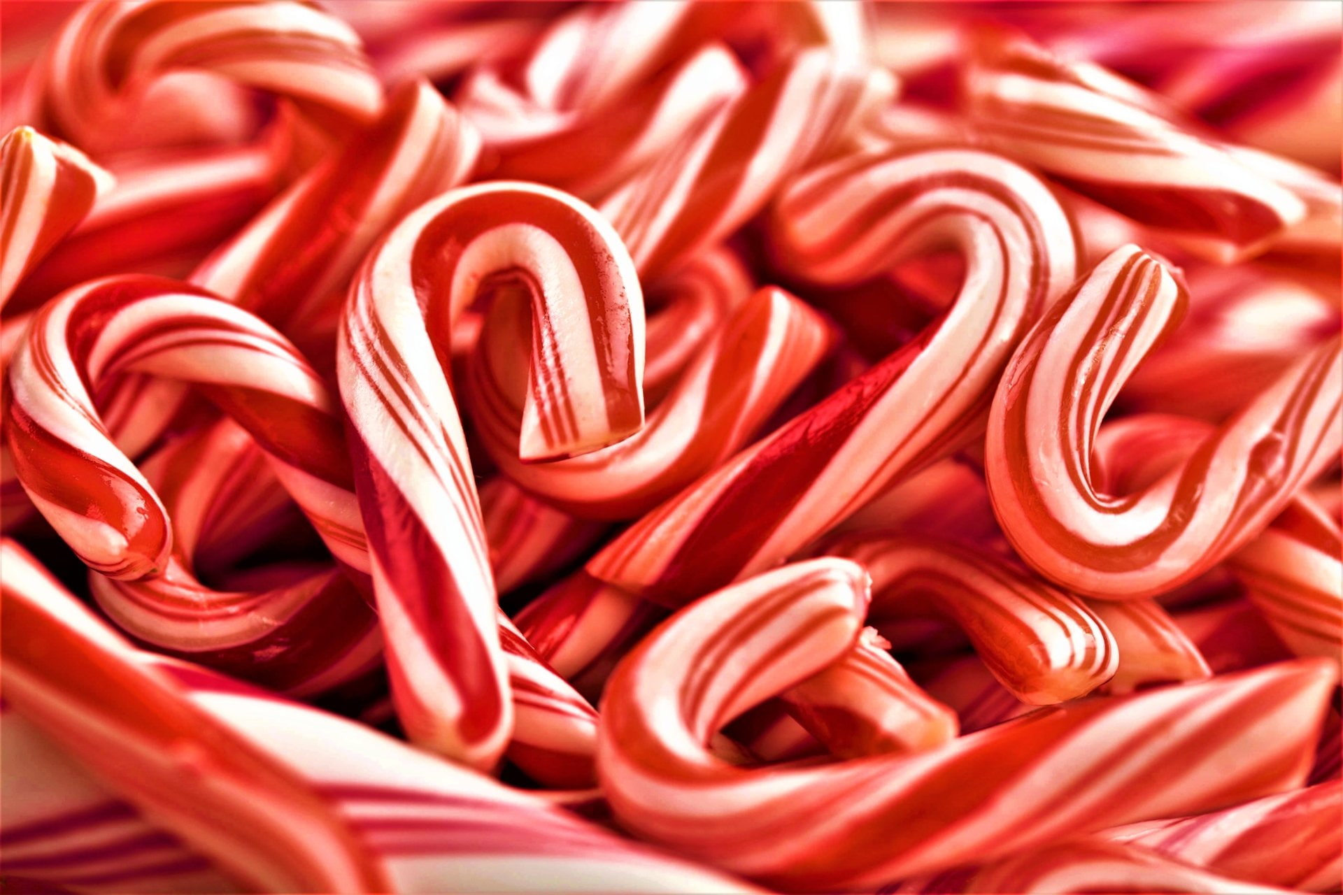 Holiday, Candy Cane, 1080P, Food, Christmas, HD Wallpaper