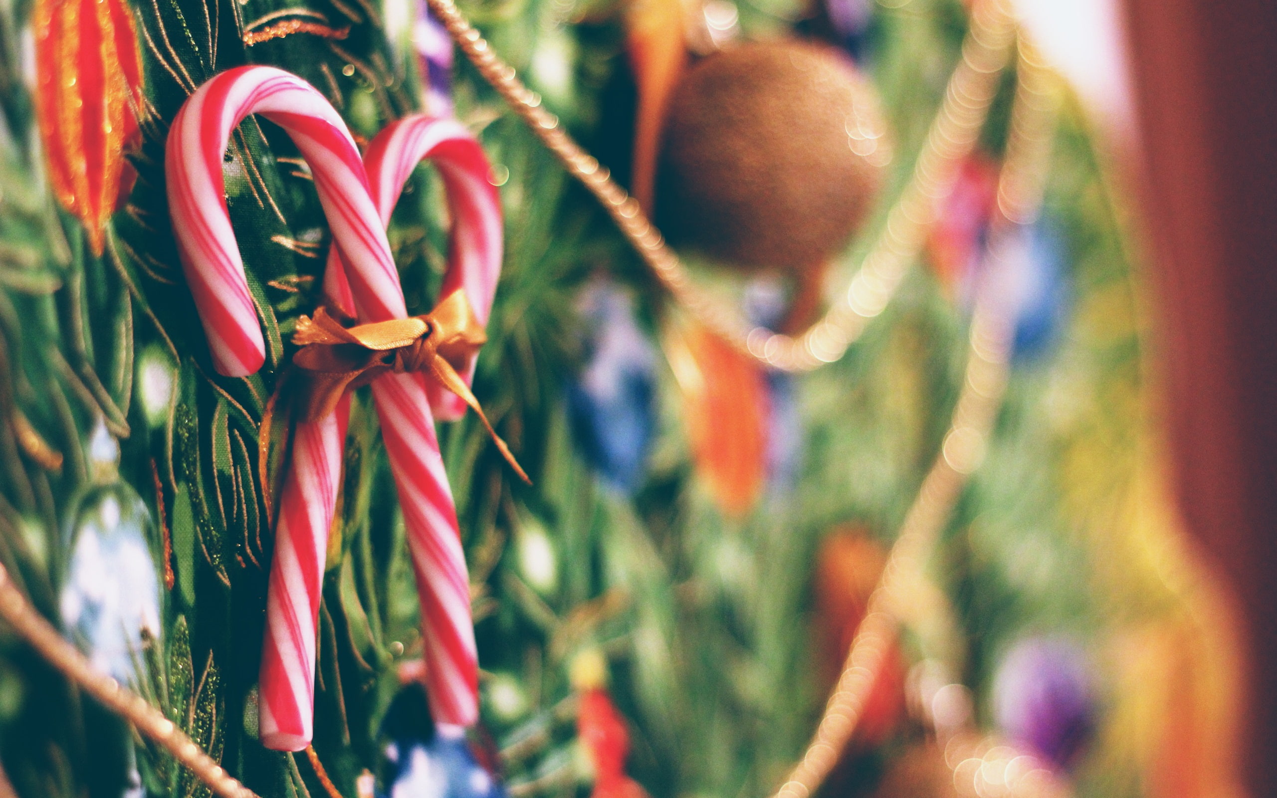 Bokeh, canes, pink, Year, New, white, Christmas, 2K, Candy, HD Wallpaper