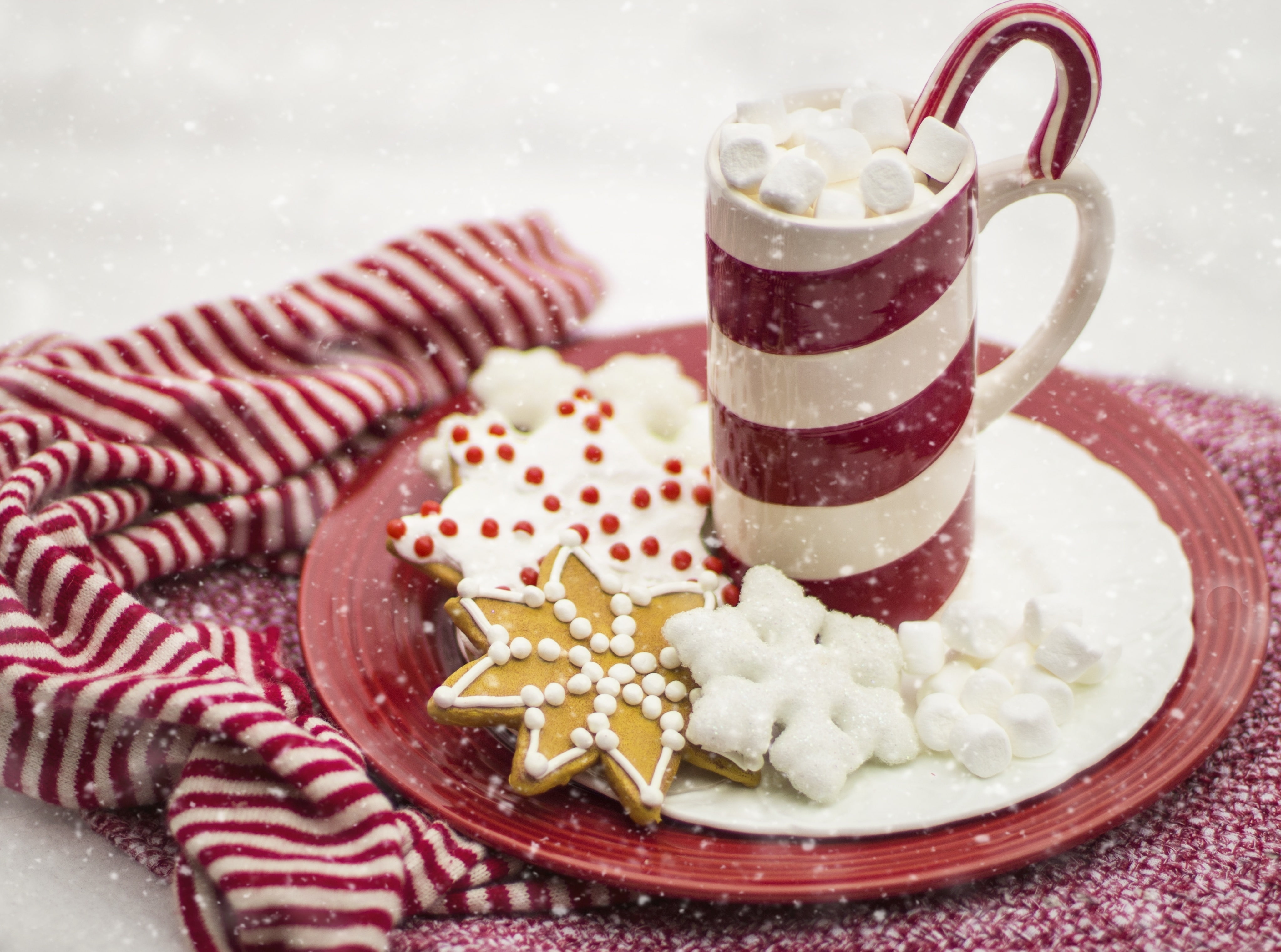close-up, redandwhite, cane, sweet food, table, drink, indoors, crockery, celebration, cocoa, Chocolate, Tasty, marshmallow, 2017, Winter, Stripes, 4K, HD Wallpaper