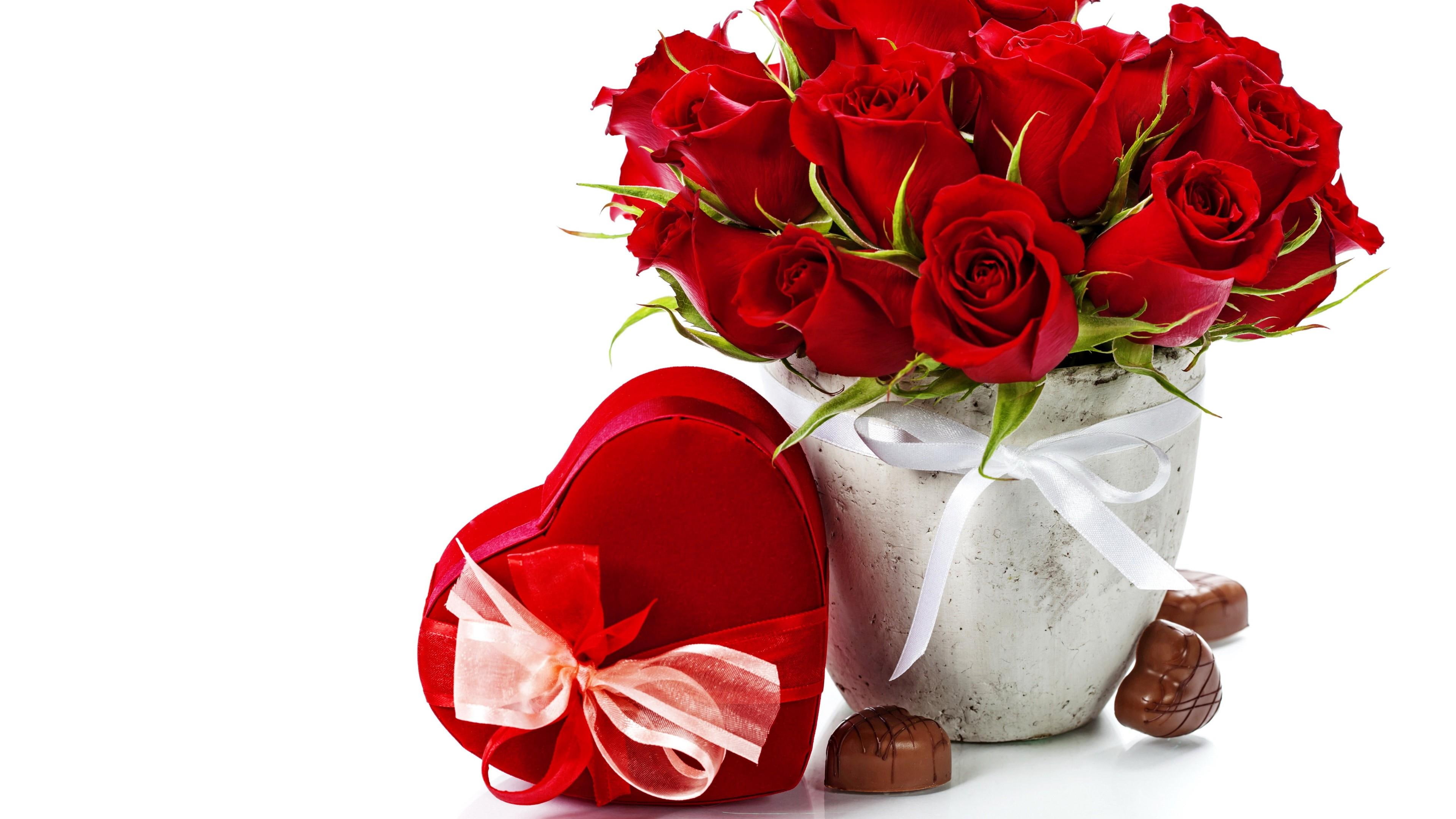 hot red, white backroand, hearts, red roses, green, sweet, love, white bow, 4K, romantic, varse, chocolate, cute, nice green, HD Wallpaper