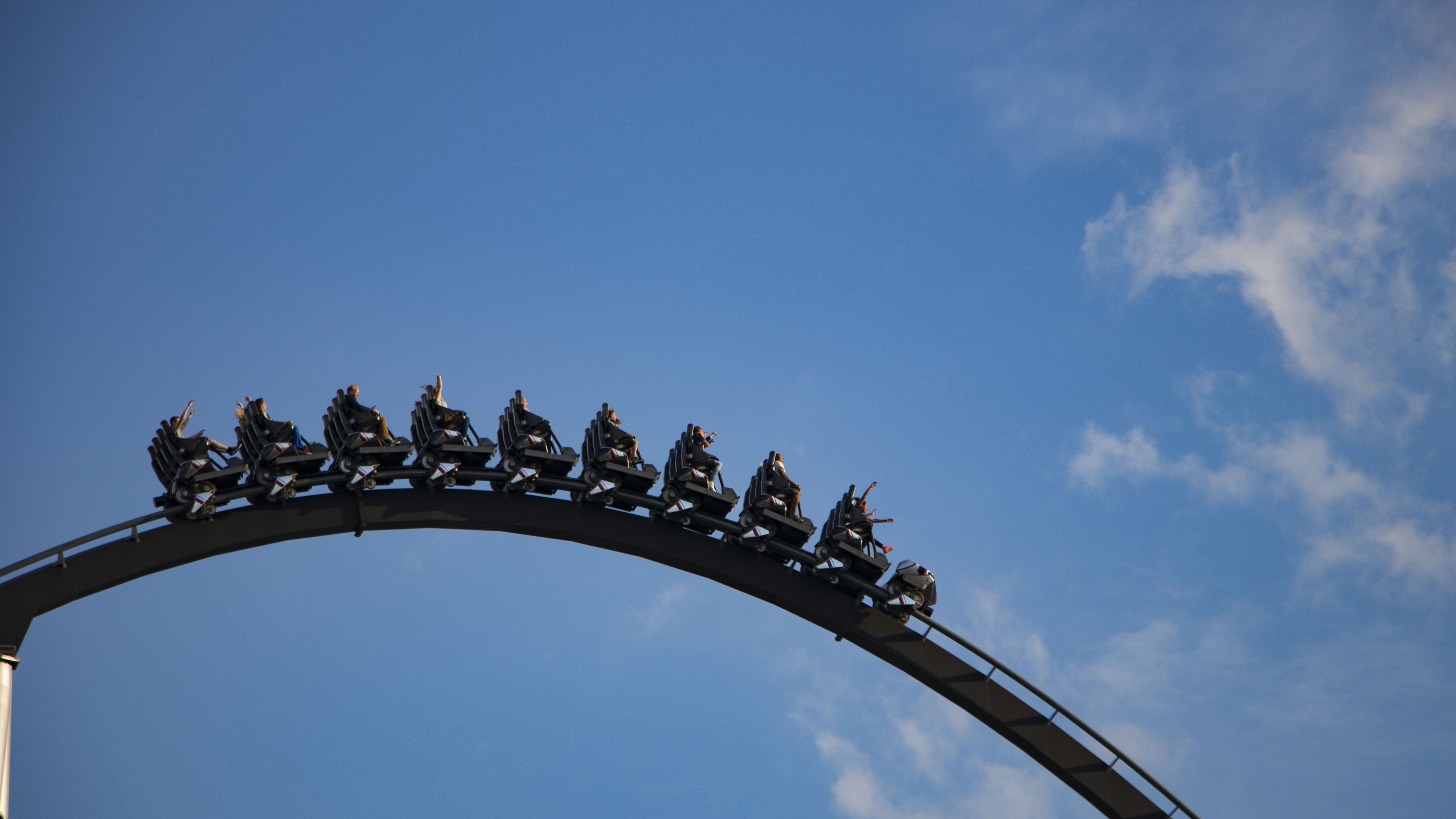 animal wildlife, outdoors, 5K, nature, day, animal themes, blue, sky, europapark, animal, vertebrate, no people, coaster, perching, large group of animals, HD Wallpaper