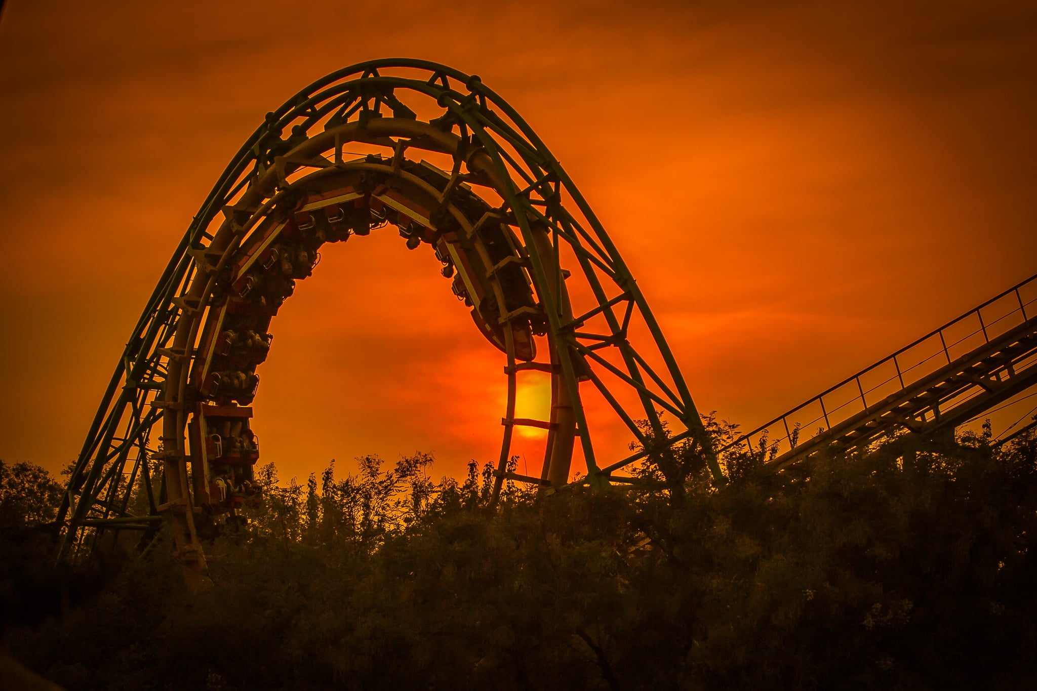 tree, built structure, dusk, construction Industry, amusement park, outdoors, engineering, rollercoaster, black Color, cloud - sky, silhouette, amusement park ride, HD Wallpaper