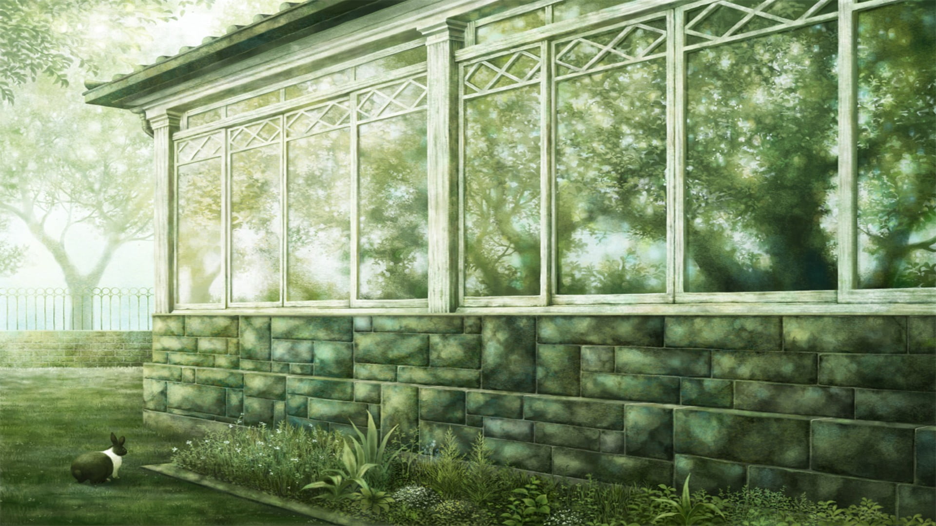 rabbits, glass - material, window, building exterior, animal, concrete, 1080P, tree, brown, architecture, no people, grass, day, trees, animal themes, HD Wallpaper