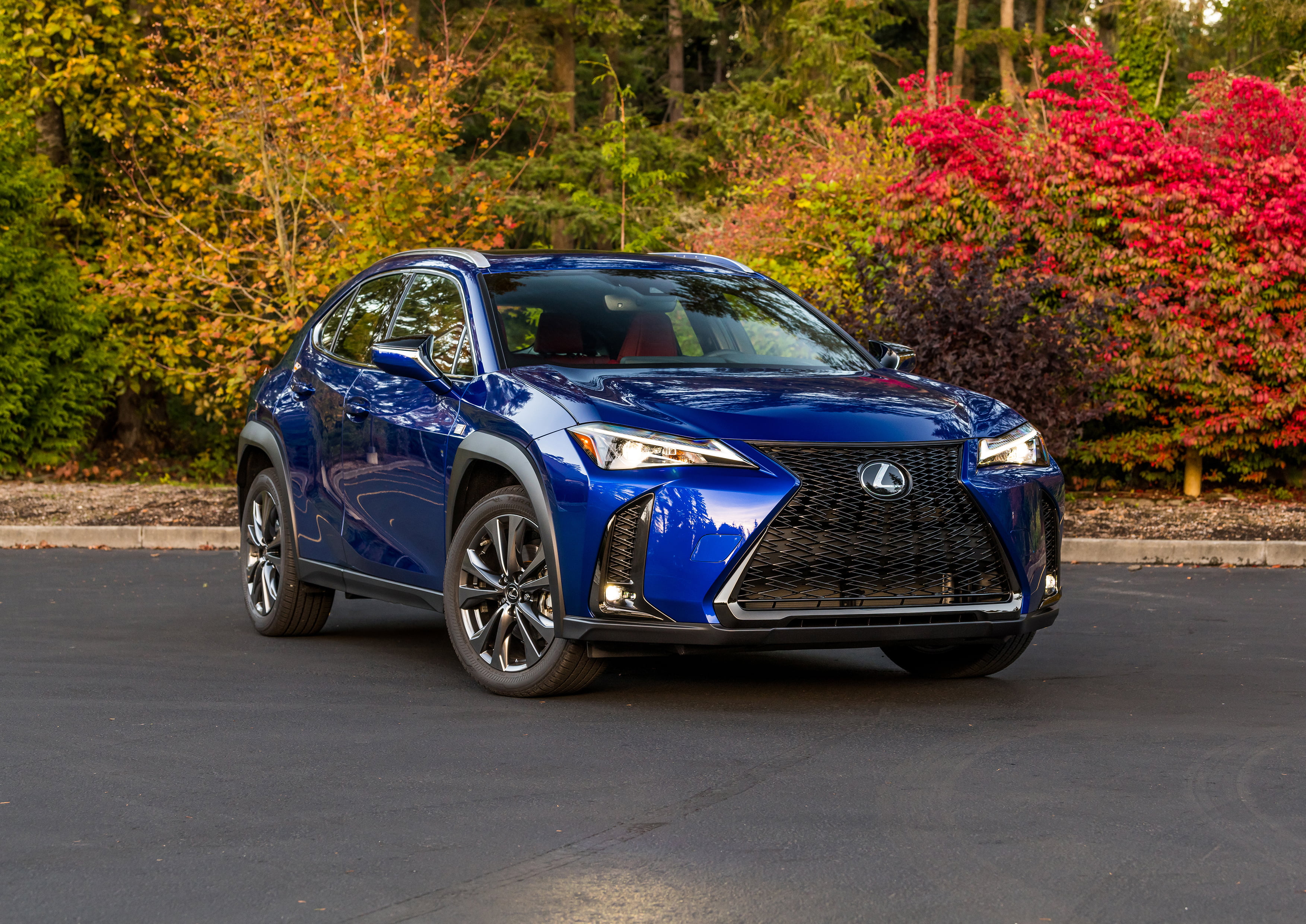 Vehicle, SUV, 2K, Lexus, Luxury Car, Car, Blue Car, Lexus UX 200, HD Wallpaper