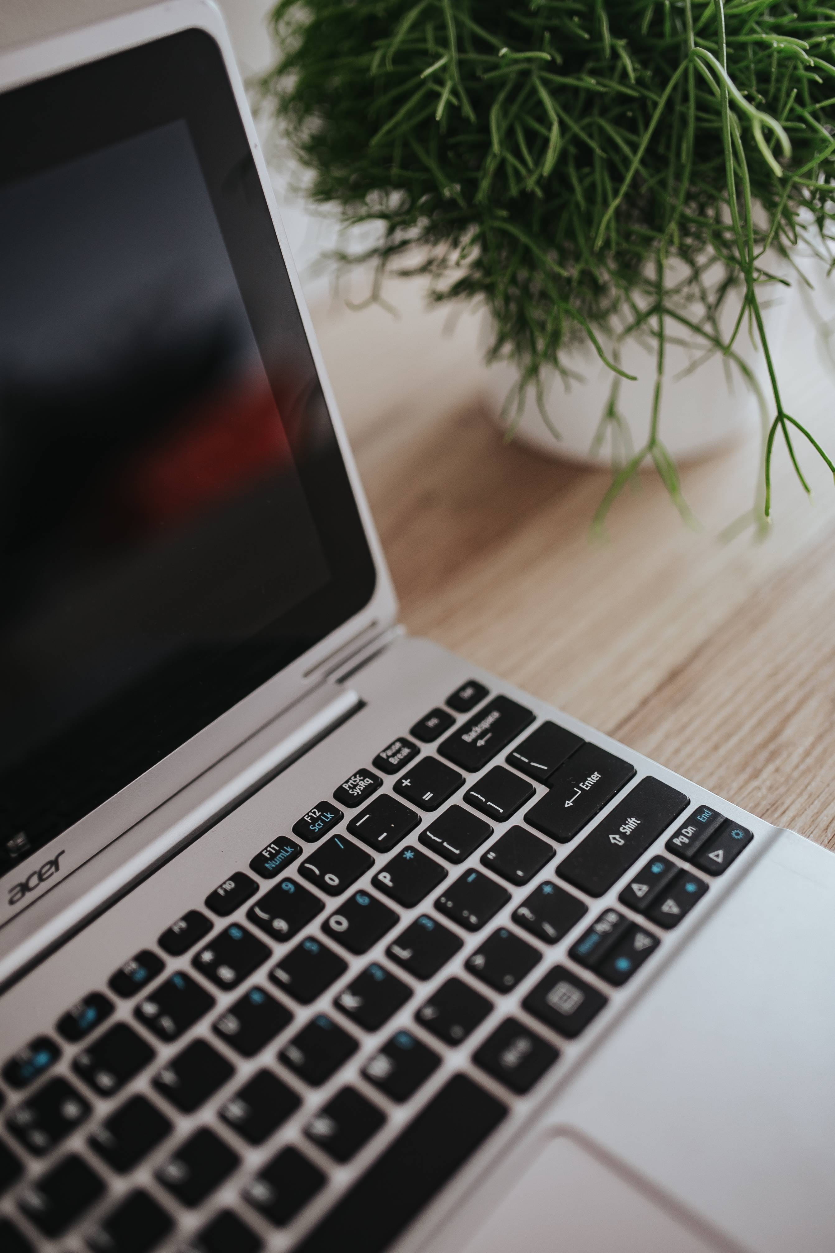 mobility, modern, computer equipment, connection, laptop, computer, plant, keyboard, portable information device, workplace, selective focus, wireless Technology, Phone HD Wallpaper