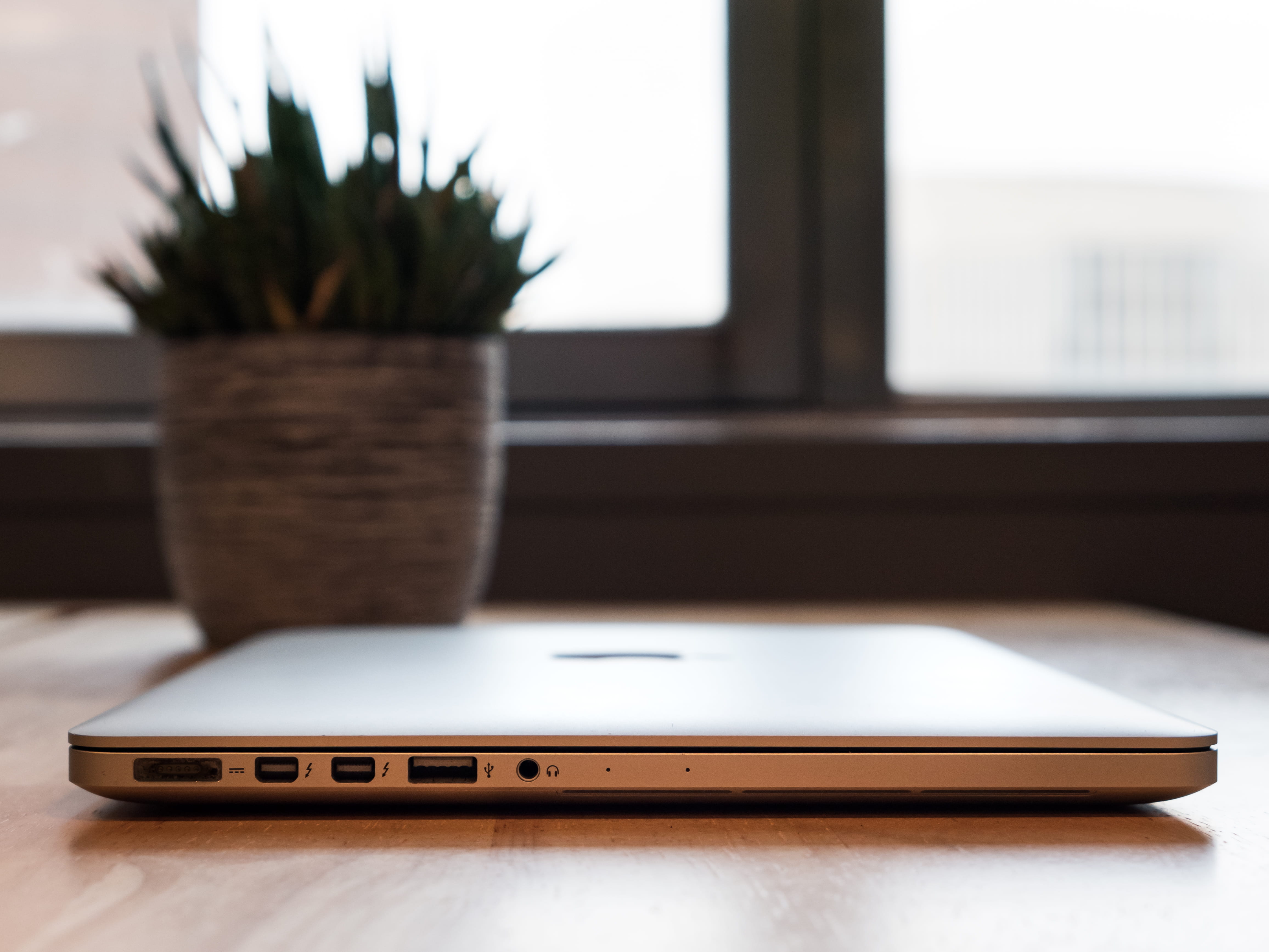 monitor, plant, electronics, selective focus, macbook, screen, pro, computer, near, laptop, indoors, wood - material, green, 4K, furniture, automobile, HD Wallpaper
