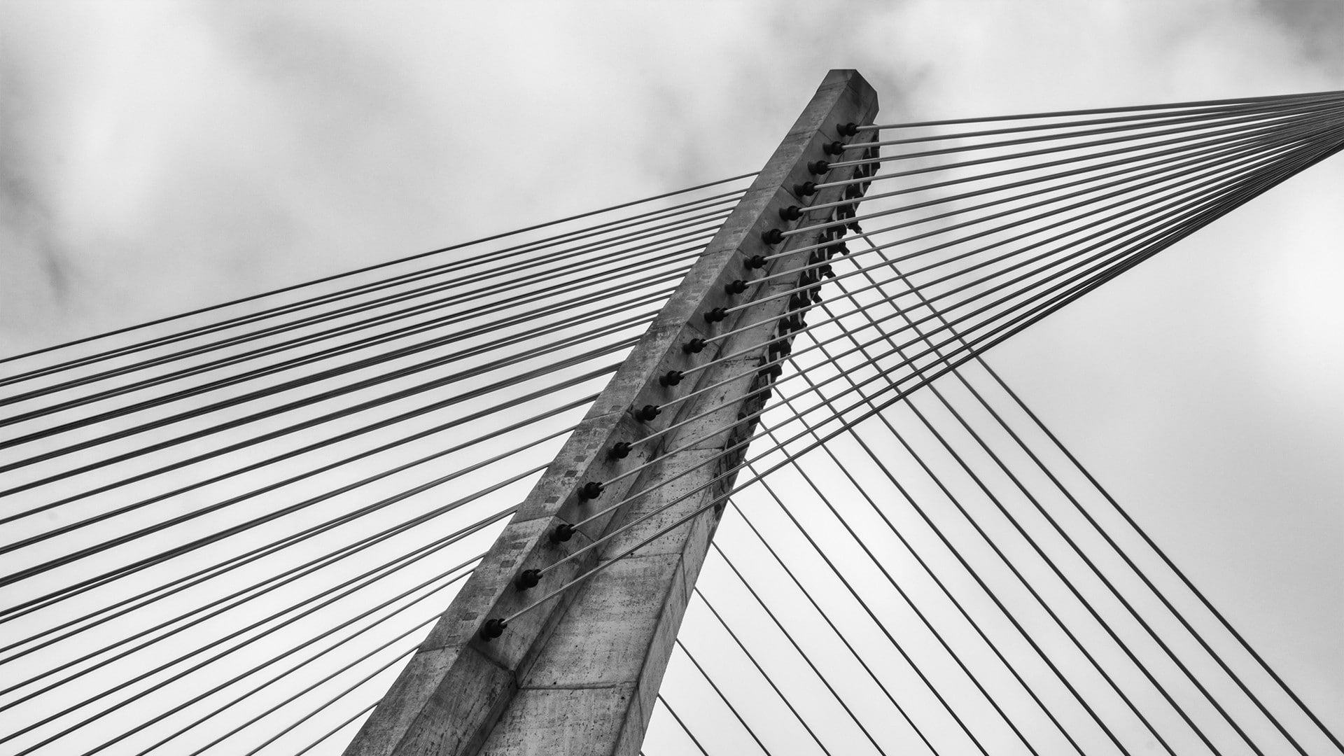 1080P, monochrome, wires, bridge, architecture, photography, HD Wallpaper
