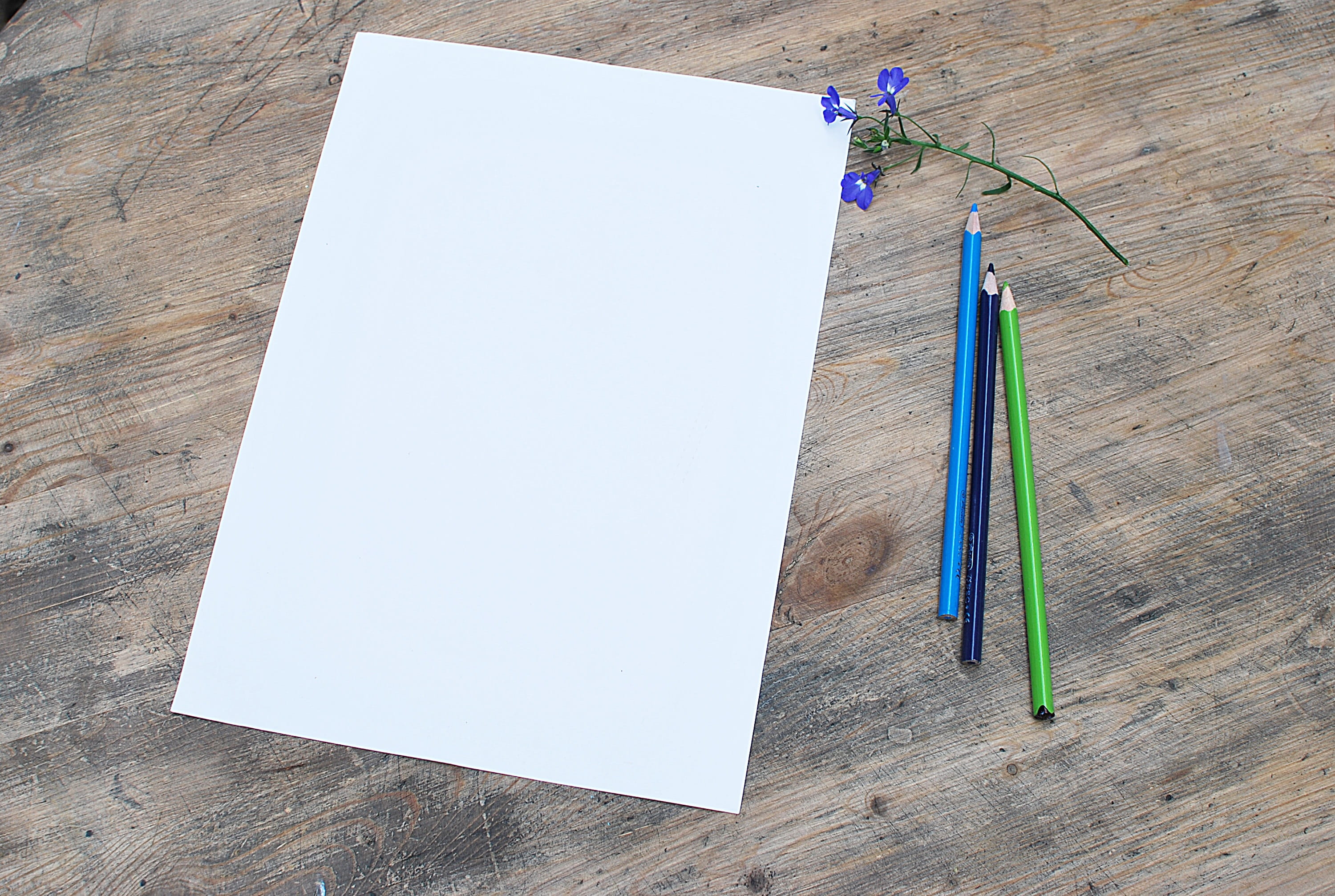 notebook, blank, creativity, to draw, design, white card, paper, table, simplicity, close-up, writing instrument, indoors, 2K, high angle view, the background, HD Wallpaper