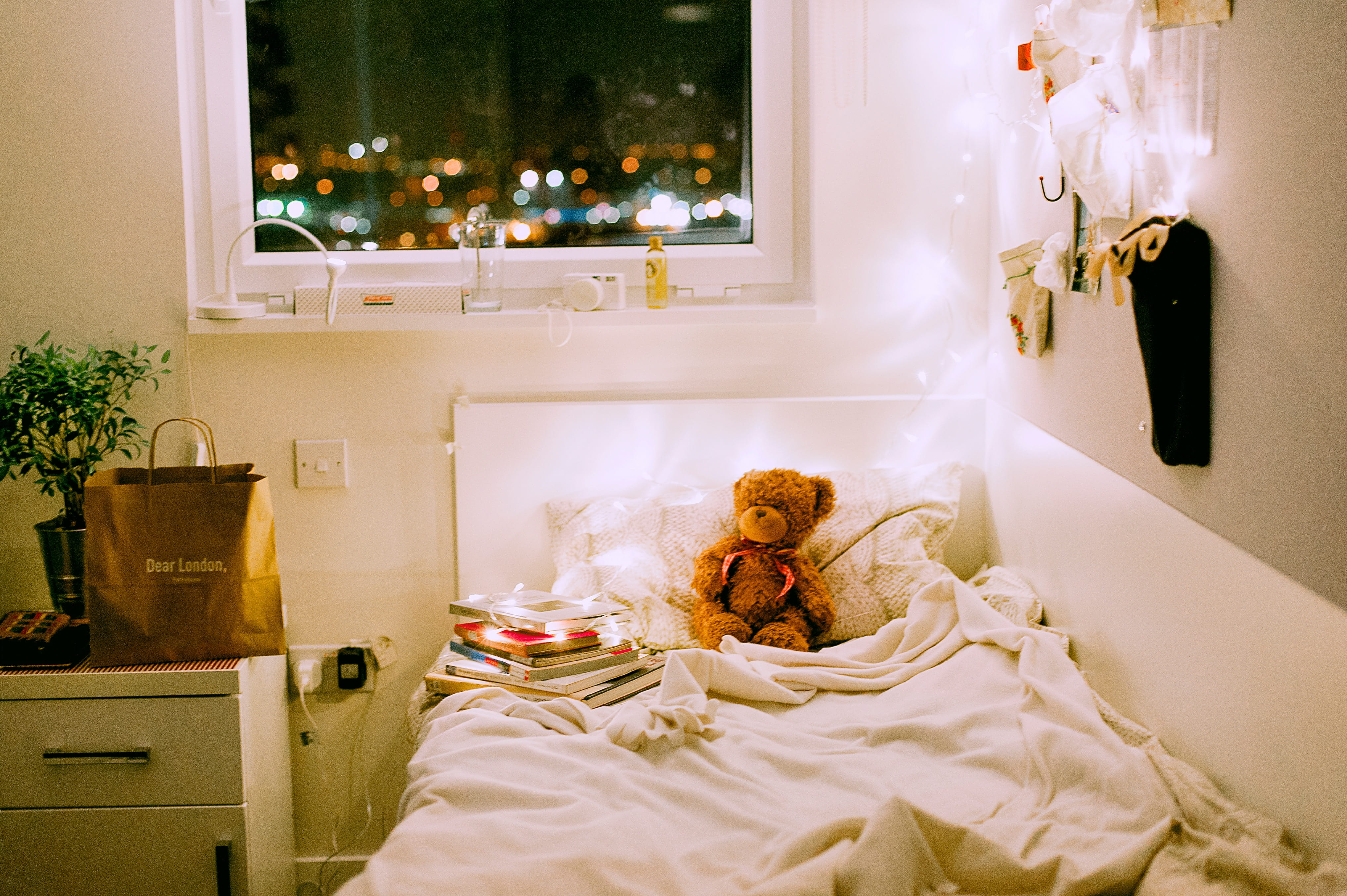 domestic room, glass, bokeh, plant, stuffed toy, window, bed, home interior, comforter, flower, books, white, side table, bear, decoration, brown, contemporary, HD Wallpaper