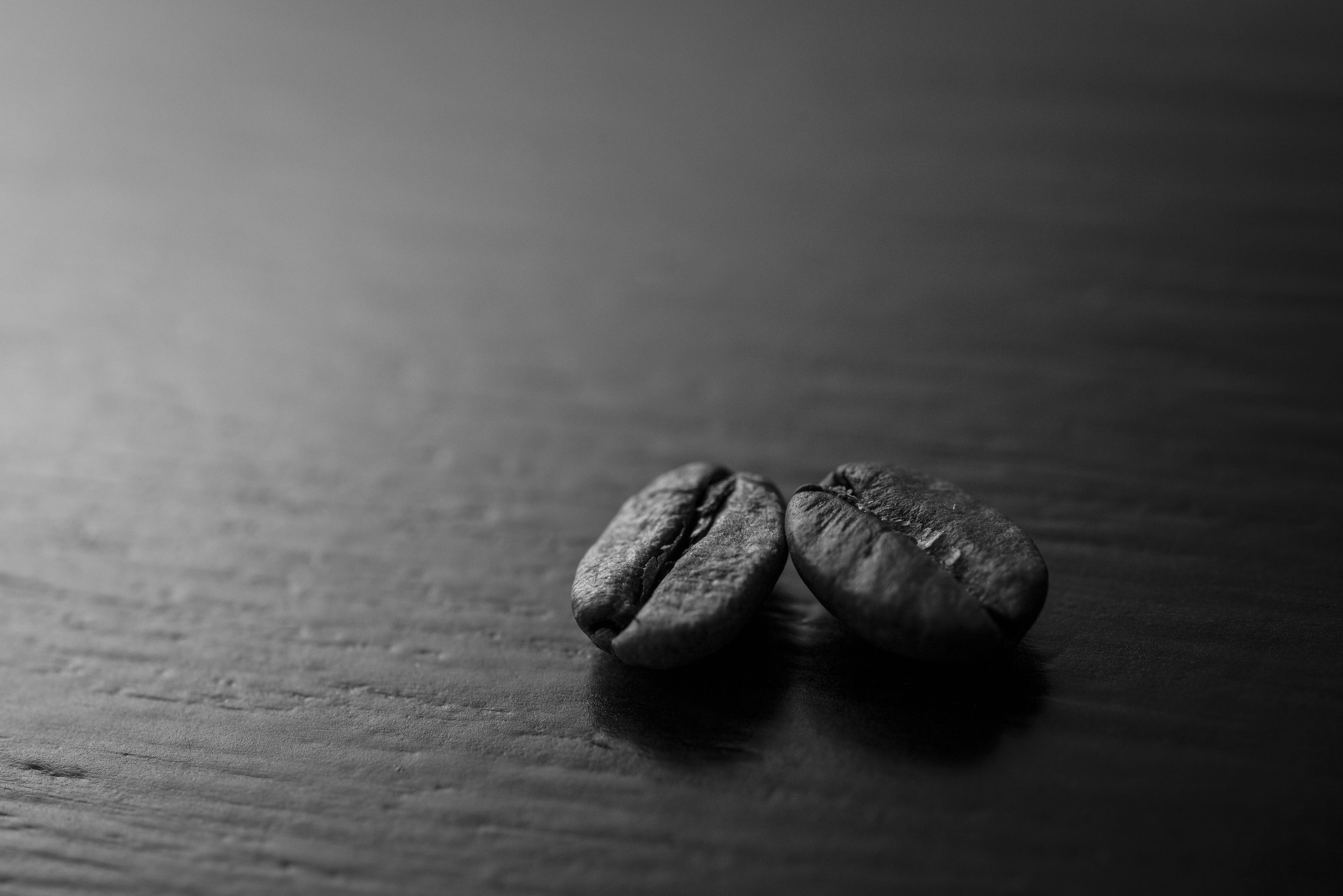 copy space, healthy eating, caffeine, focus, studio shot, single object, grayscale, photo, indoors, animal, nut - food, selective focus, blur, no people, HD Wallpaper