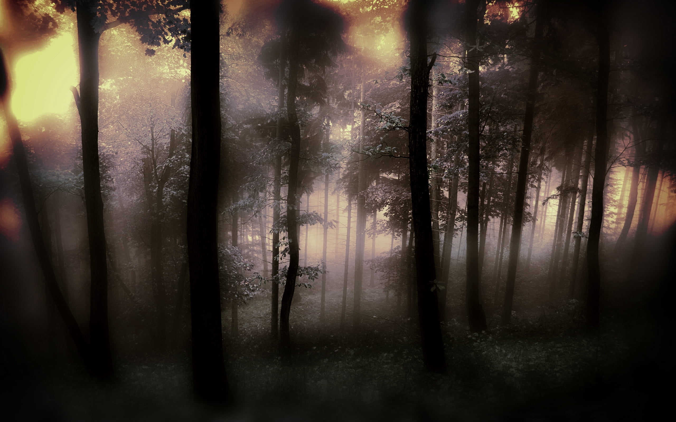 window, pattern, glass - material, multi Colored, gloomy, tranquility, nature, night, fog, weather, tree, forest, light - Natural Phenomenon, rain, black, HD Wallpaper