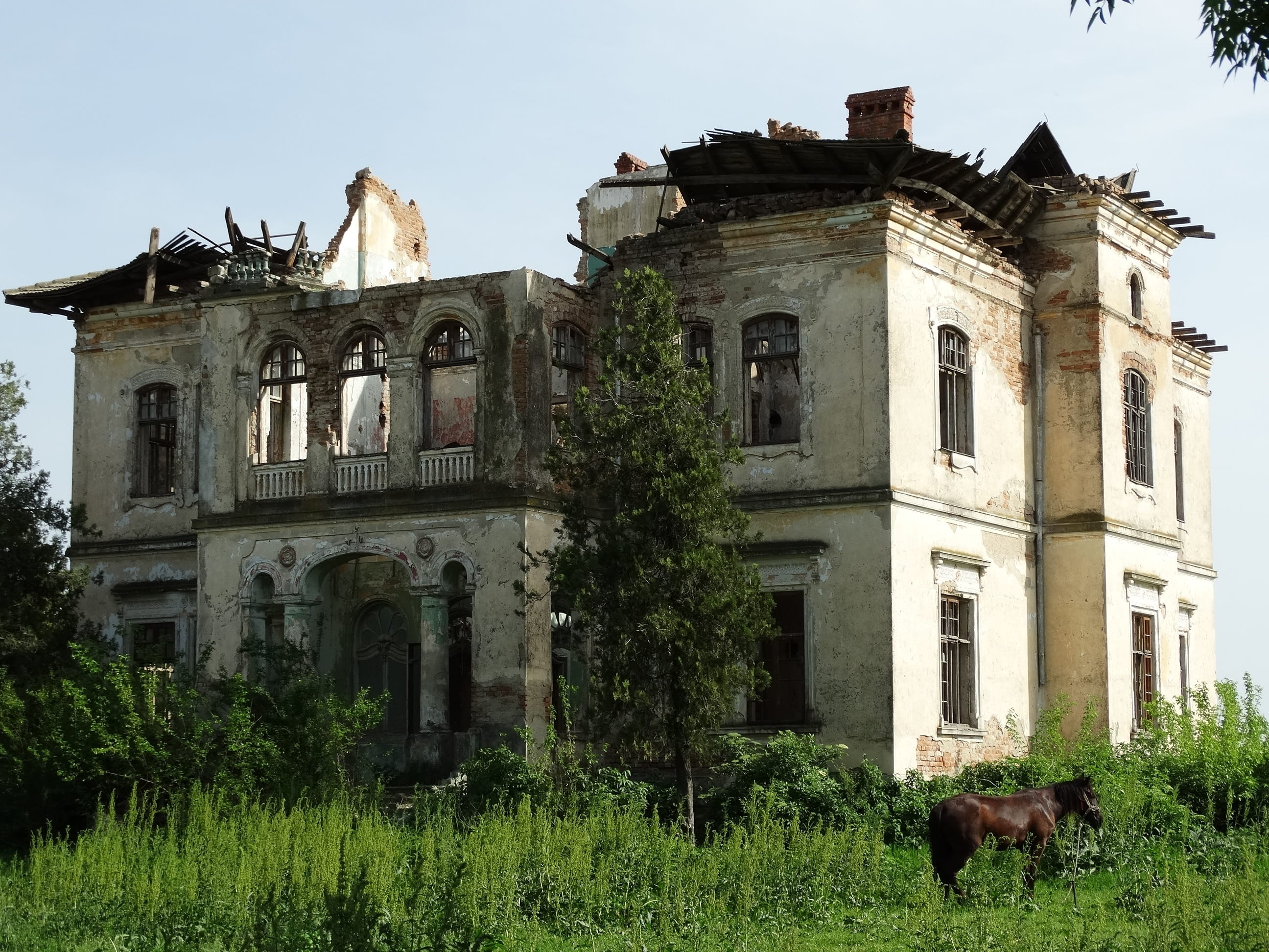 the past, plant, building, abandoned, low angle view, Ruin, architecture, damaged, 2K, built structure, no people, Degraded, run-down, g, nature, grass, HD Wallpaper