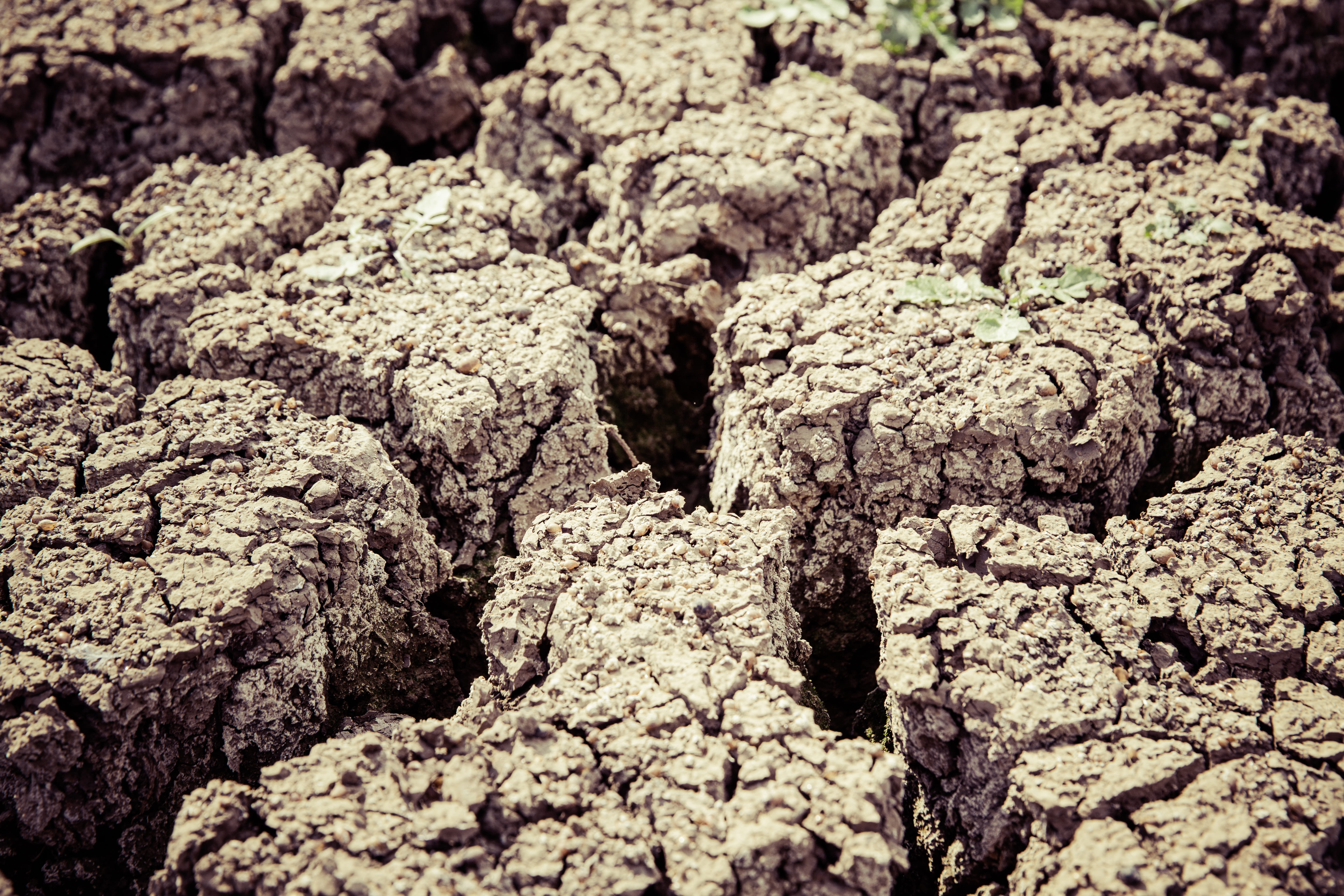 degradation, backgrounds, high angle view, macro, barren, parched, dry, desertification, ground, 5K, rough, photography, climate, solid, dirt, no people, HD Wallpaper