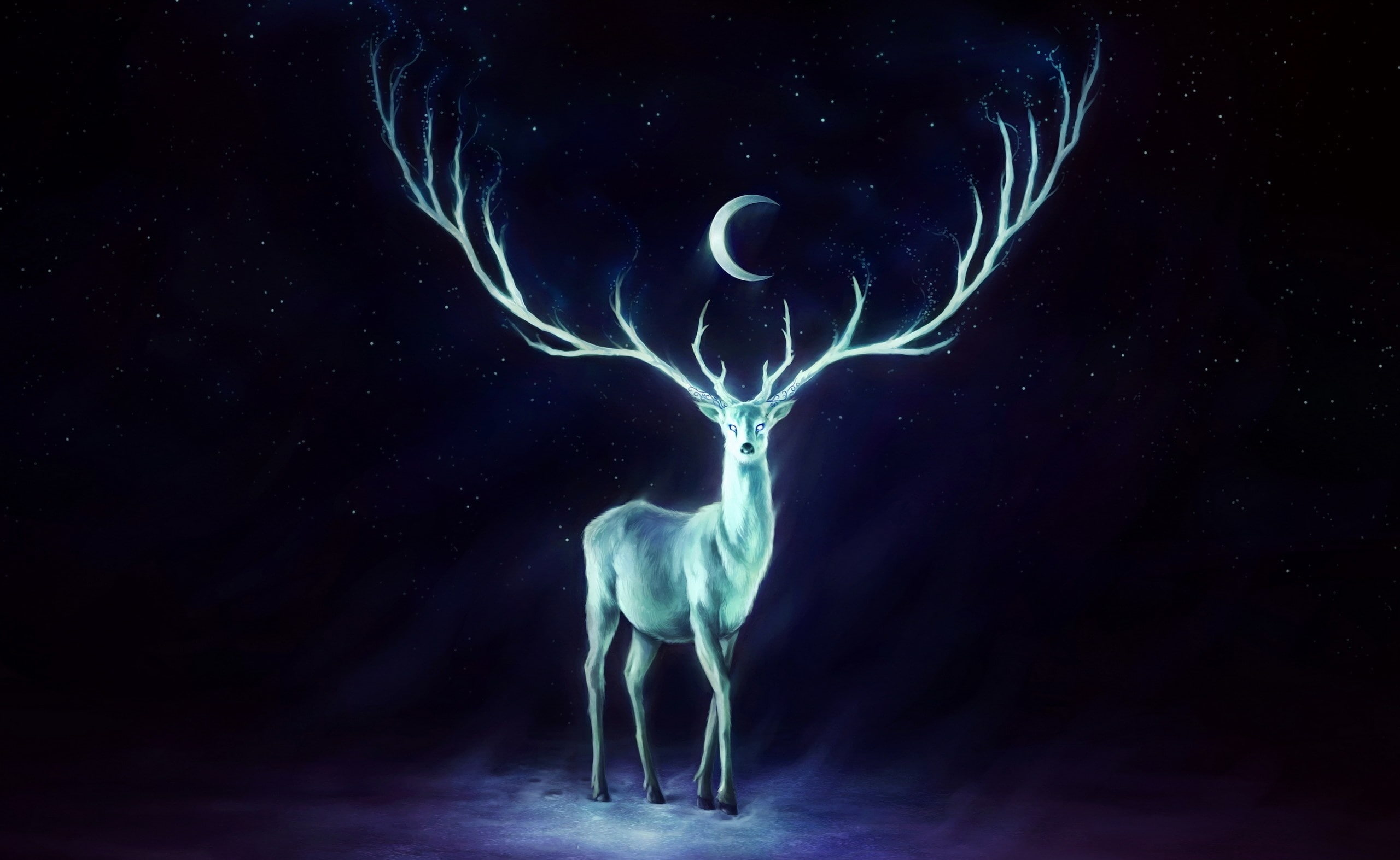 black background, Beautiful, animal themes, Deer, Fantasy, dark, 2K, marine, studio shot, Painting, animal, animal wildlife, no people, motion, science, HD Wallpaper