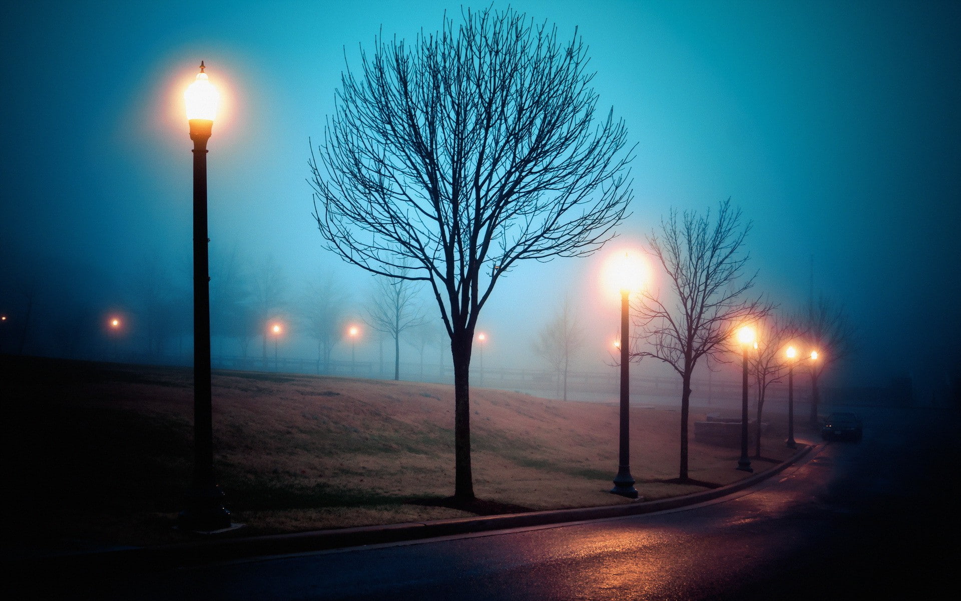 Atmosphere, fog, park, sleep, Sleep Walking, walking, street, 1080P, city, Richmond, HD Wallpaper