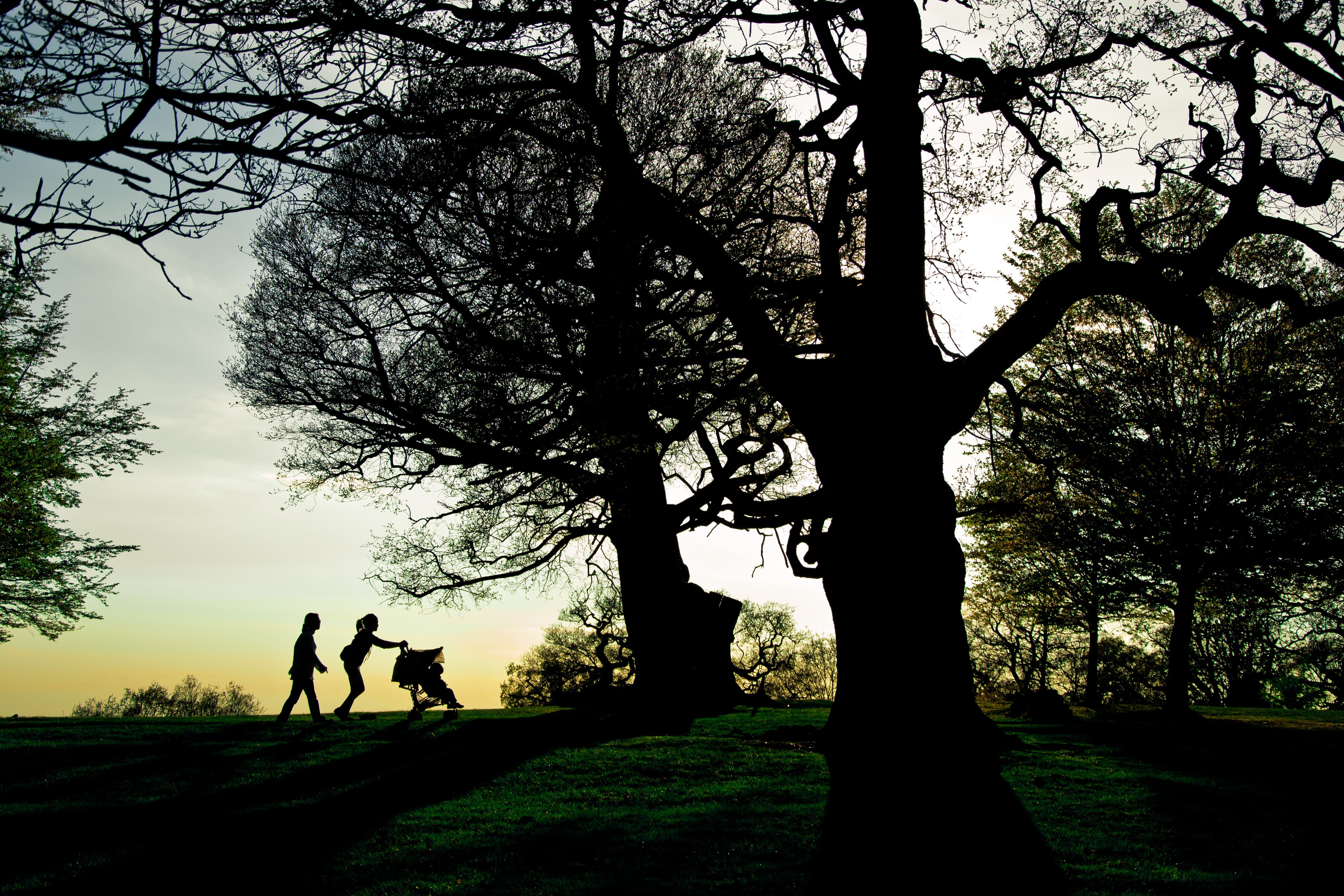 two people, leisure activity, adult, branch, london, garden, 4K, standing, beauty in nature, tree, plant, silhouette, men, nature, positive emotion, people, HD Wallpaper