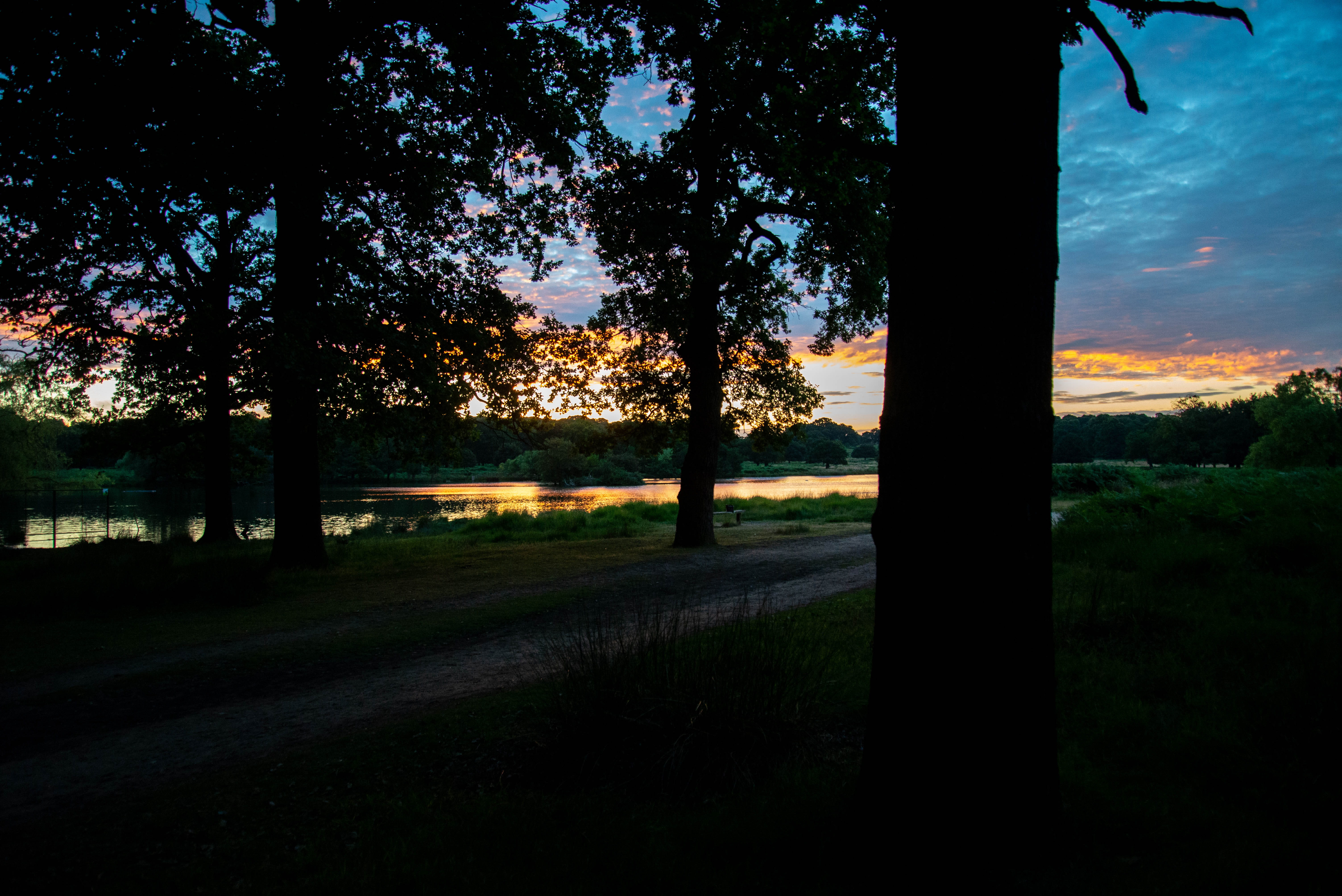 nature, tree, 5K, silhouette, no people, united kingdom, scenics - nature, plant, sky, richmond, tranquil scene, non-urban scene, tranquility, sunset, HD Wallpaper