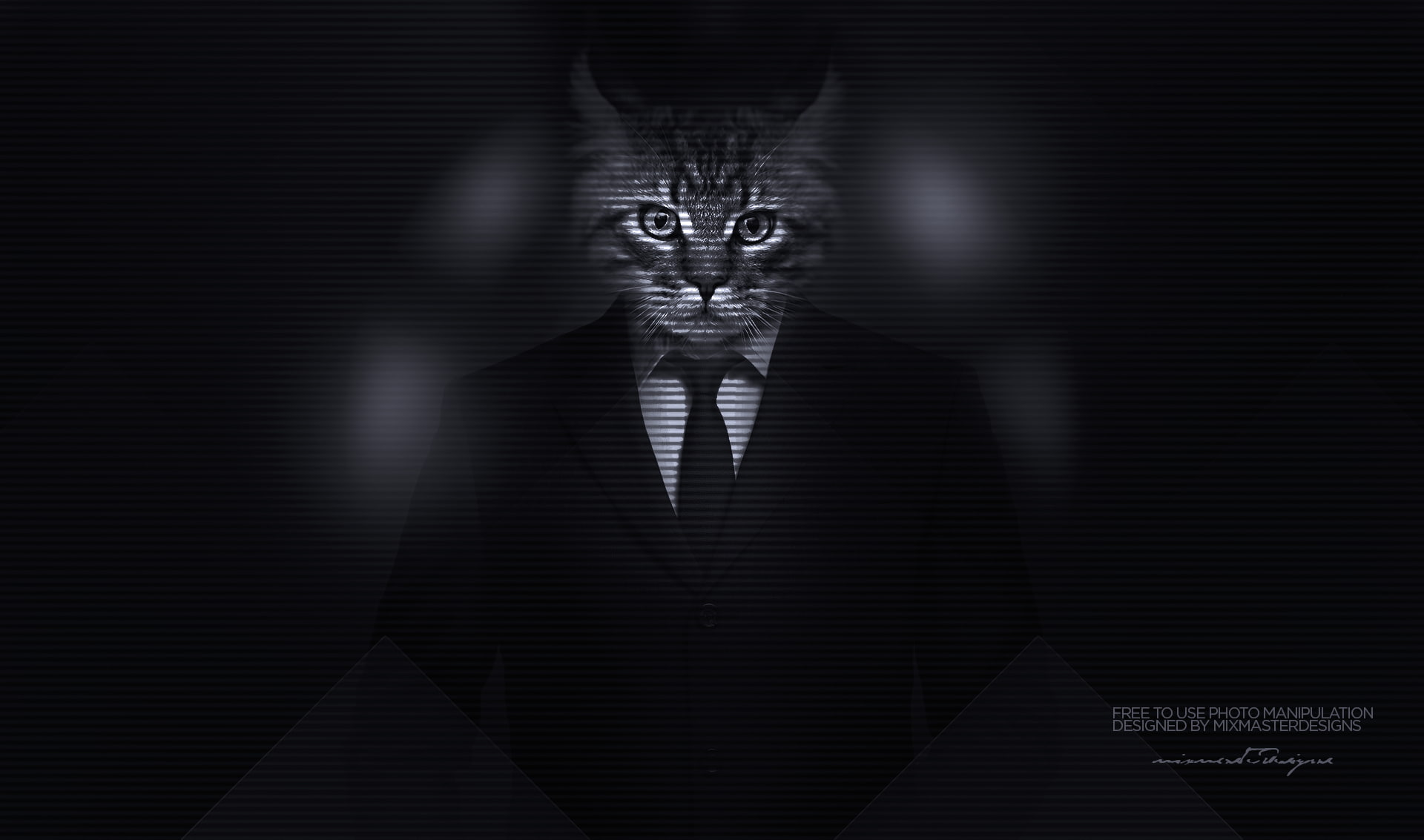 Photo Manipulation, cat, men, big cats, Classy, 1080P, kitty, Suits, majestic casual channel, HD Wallpaper
