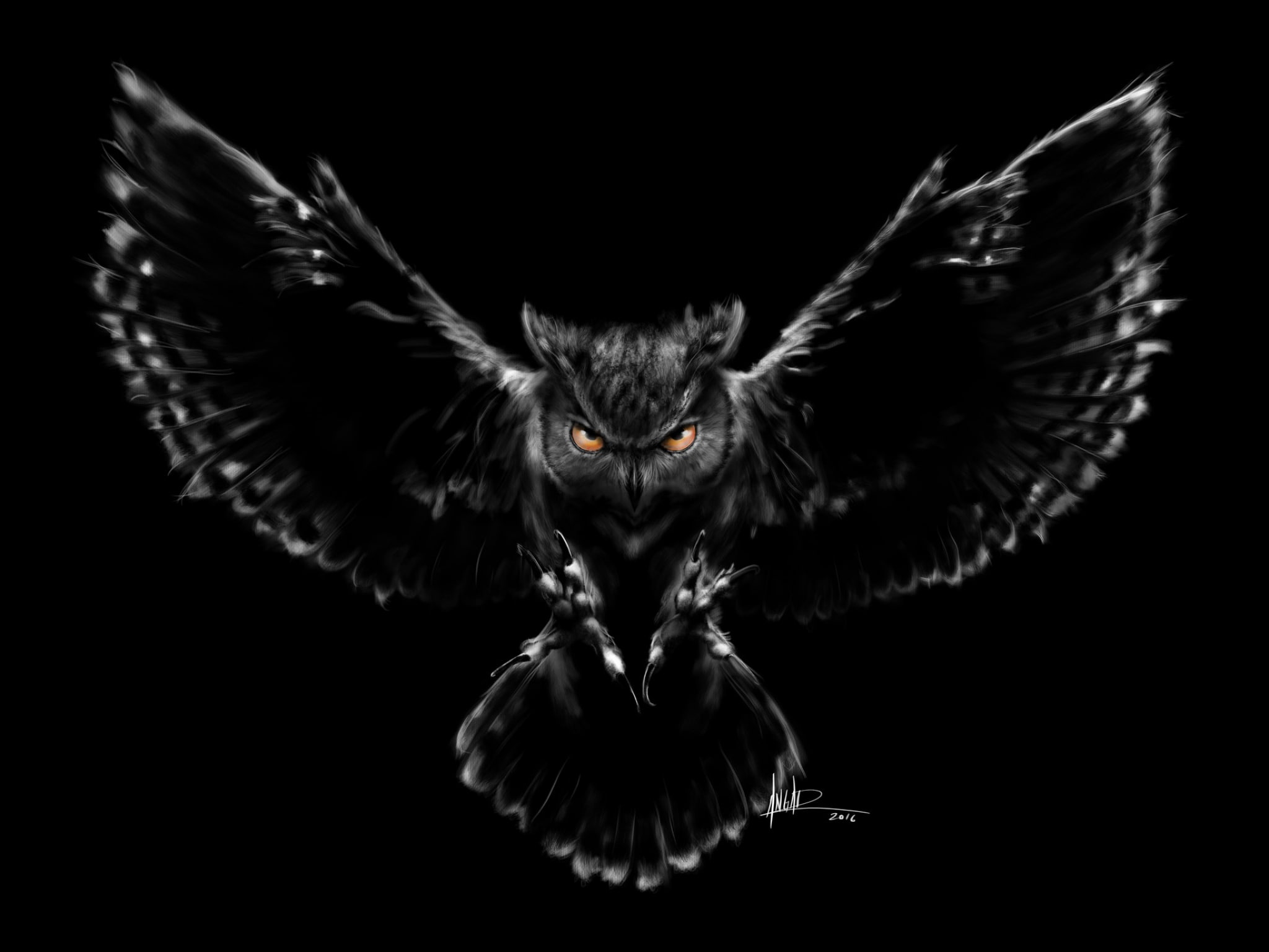 bird, Nightmare, fantasy, 1080P, black, bufnita, pasare, owl, HD Wallpaper