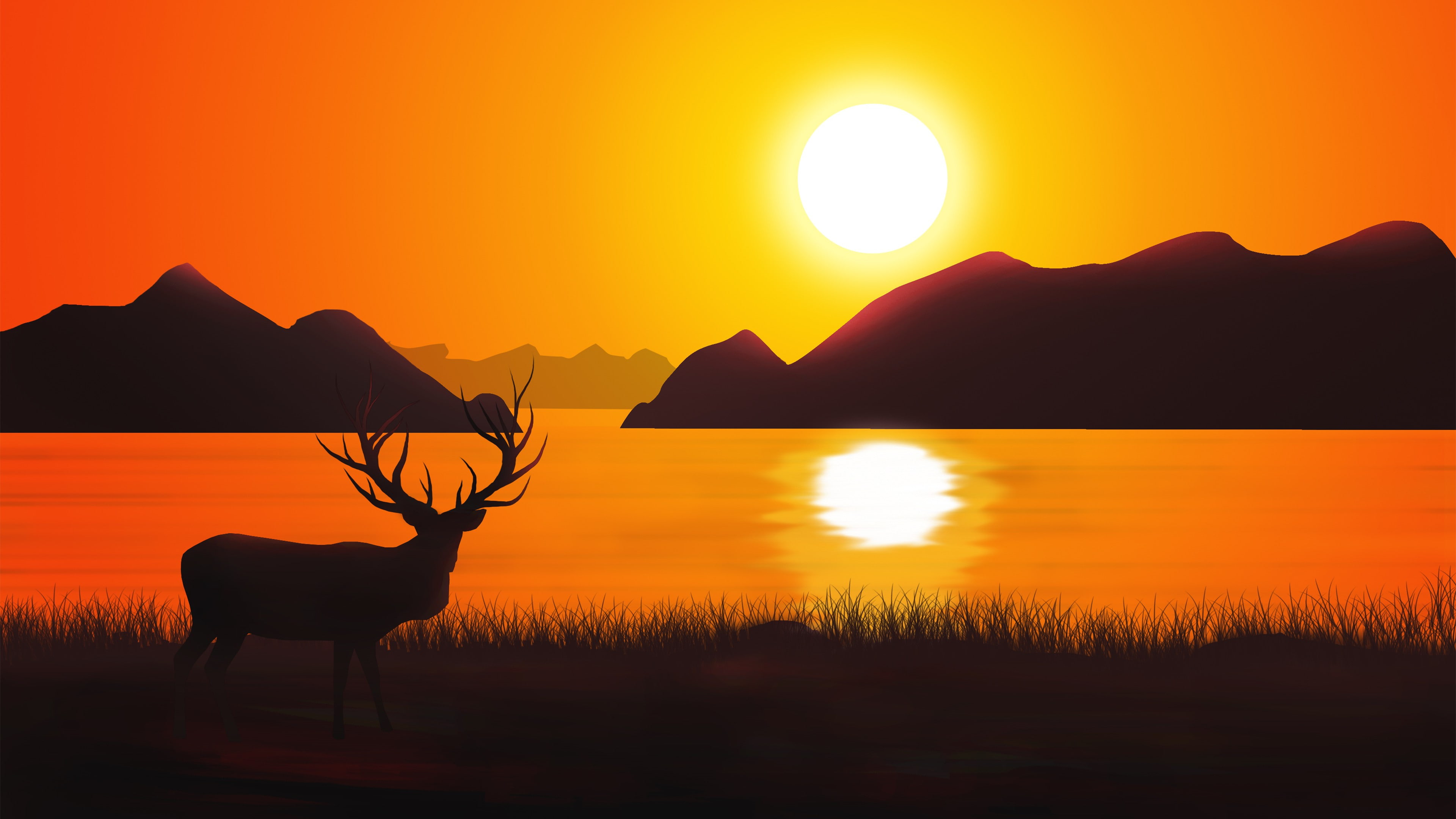 4k, silhouette, sunset, 4K, 8k, deer, HD Wallpaper
