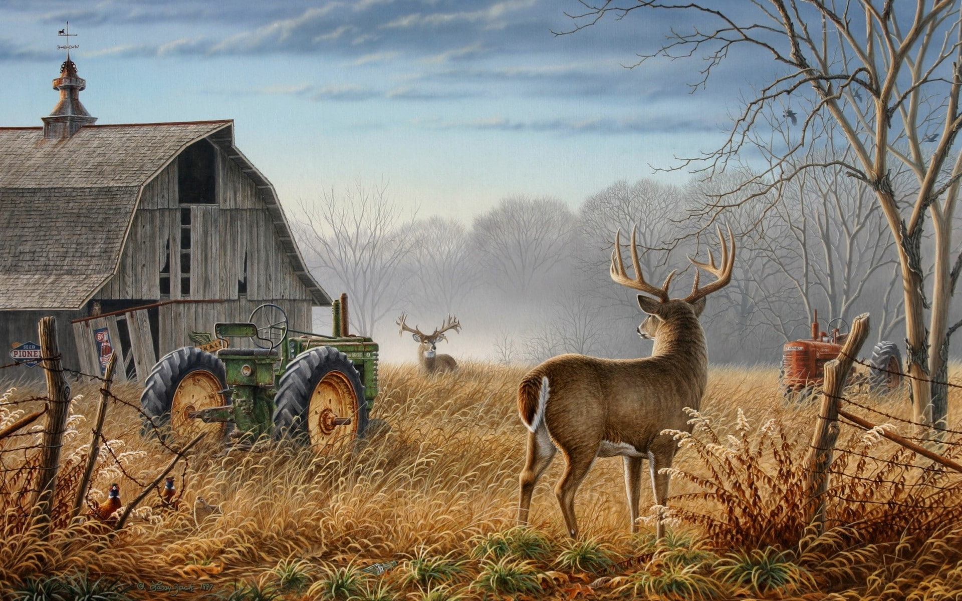 artwork, white, autumn, pheasant, tail, deer, animals, 1080P, barn, hd, art, tractors, HD Wallpaper
