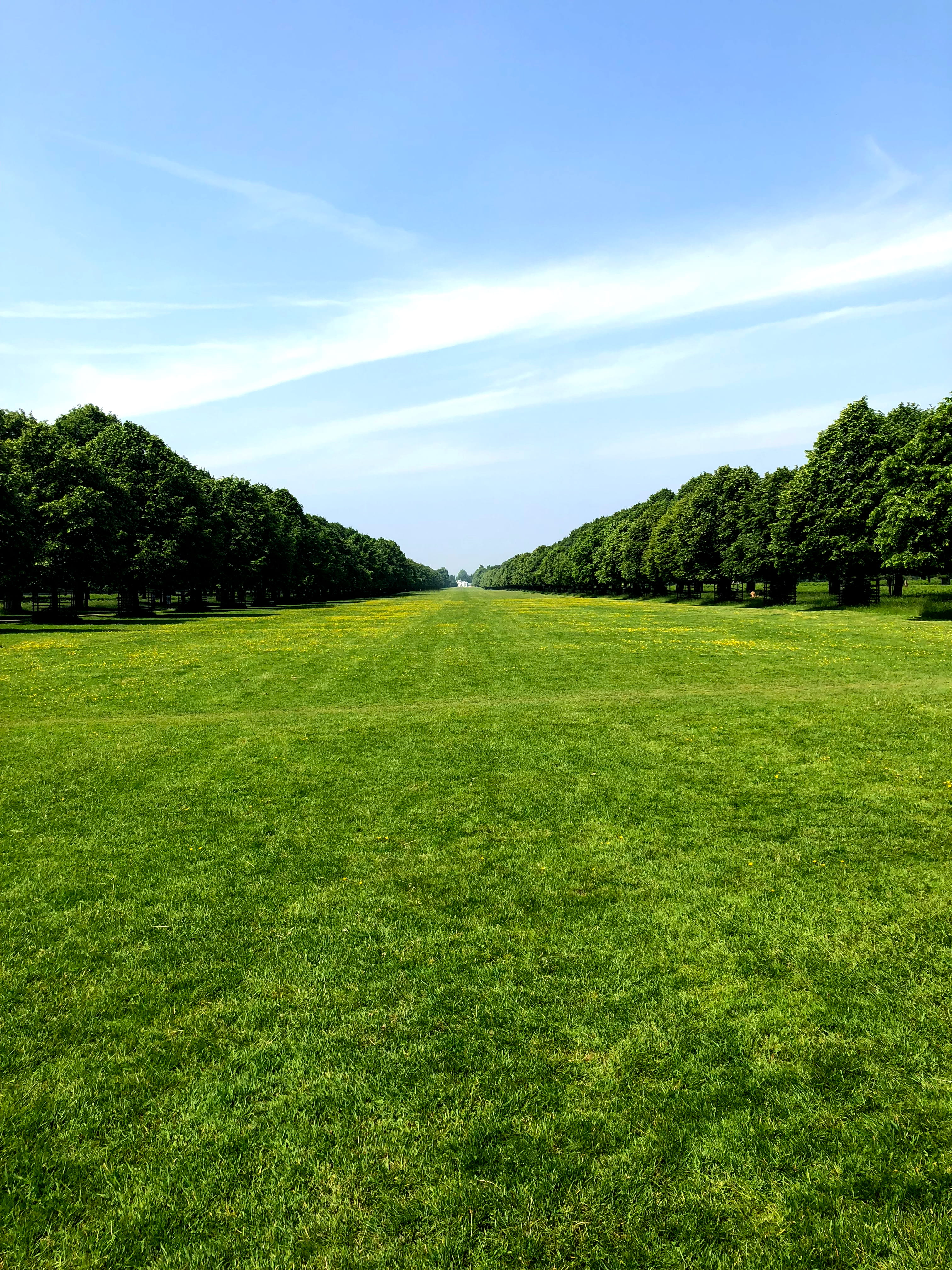 tranquility, day, hampton, space, bushy garden, grass, growth, lake, outdoors, empty, 4K, park, beauty in nature, landscape, natural, tree, idyllic, plant, Phone HD Wallpaper