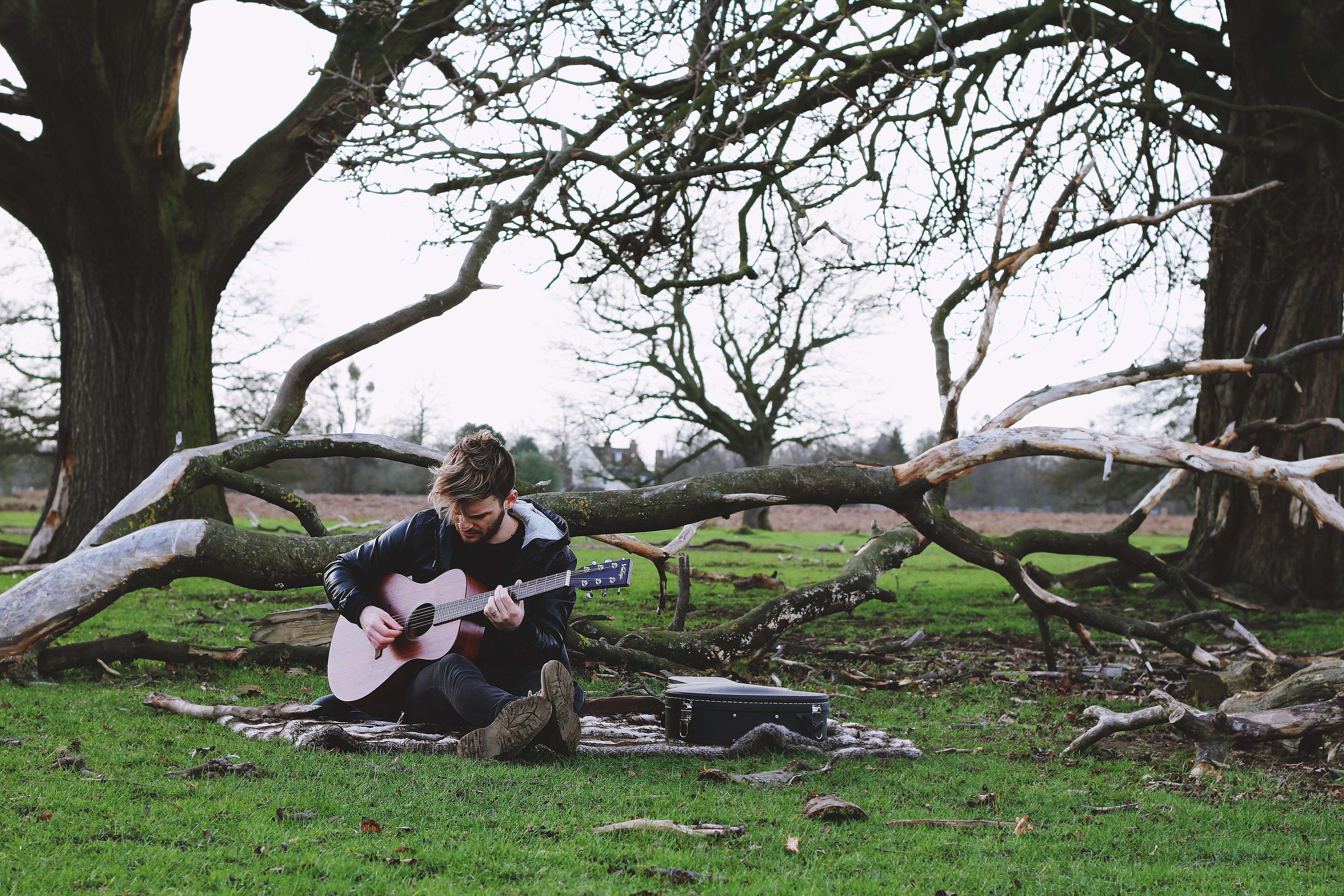 tree trunk, leisure activity, united kingdom, 5K, plant, hampton, young men, women, grass, musician, bushy park, field, real people, guitar player, lifestyles, HD Wallpaper