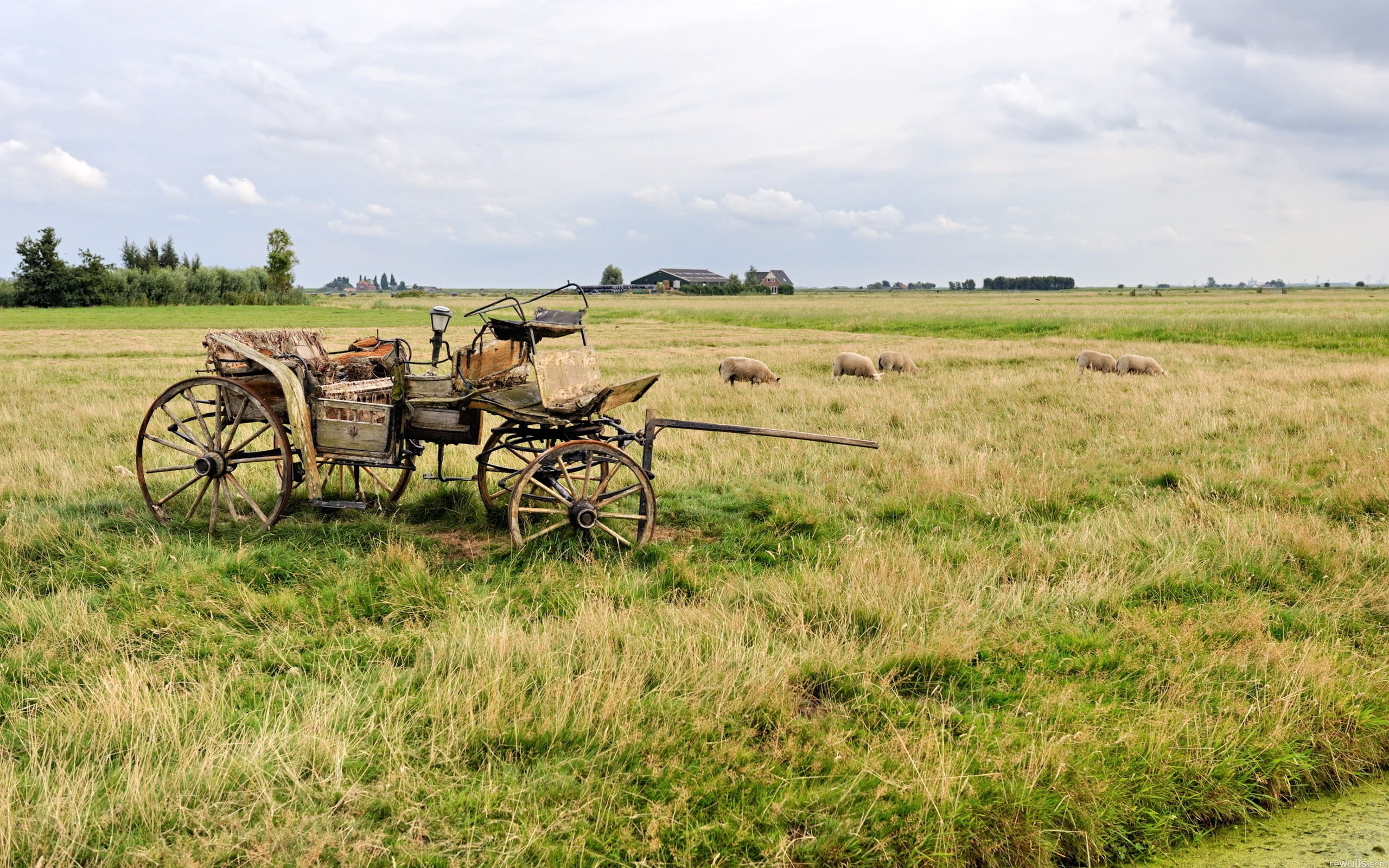 land, day, cloud - sky, wheel, 2K, machinery, outdoors, field, beauty in nature, sheep, grass, plant, brown, growth, carriage, agriculture, scenics - nature, HD Wallpaper