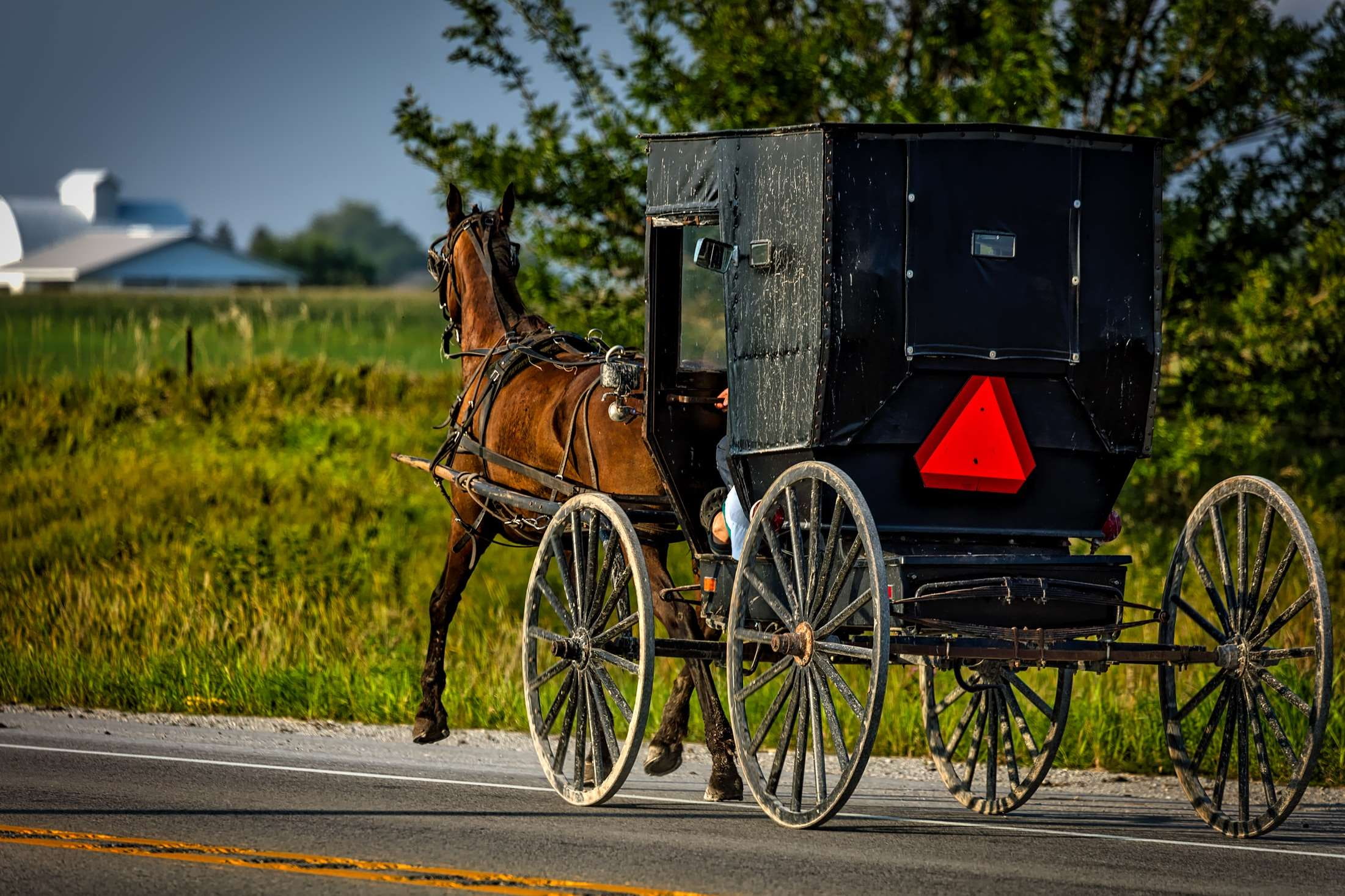 bicycle, hdr, city, rural, plant, cart, stationary, horse cart, outdoors, street, carriage, horsedrawn, country, iowa, travel, land vehicle, buggy, mode of transportation, HD Wallpaper