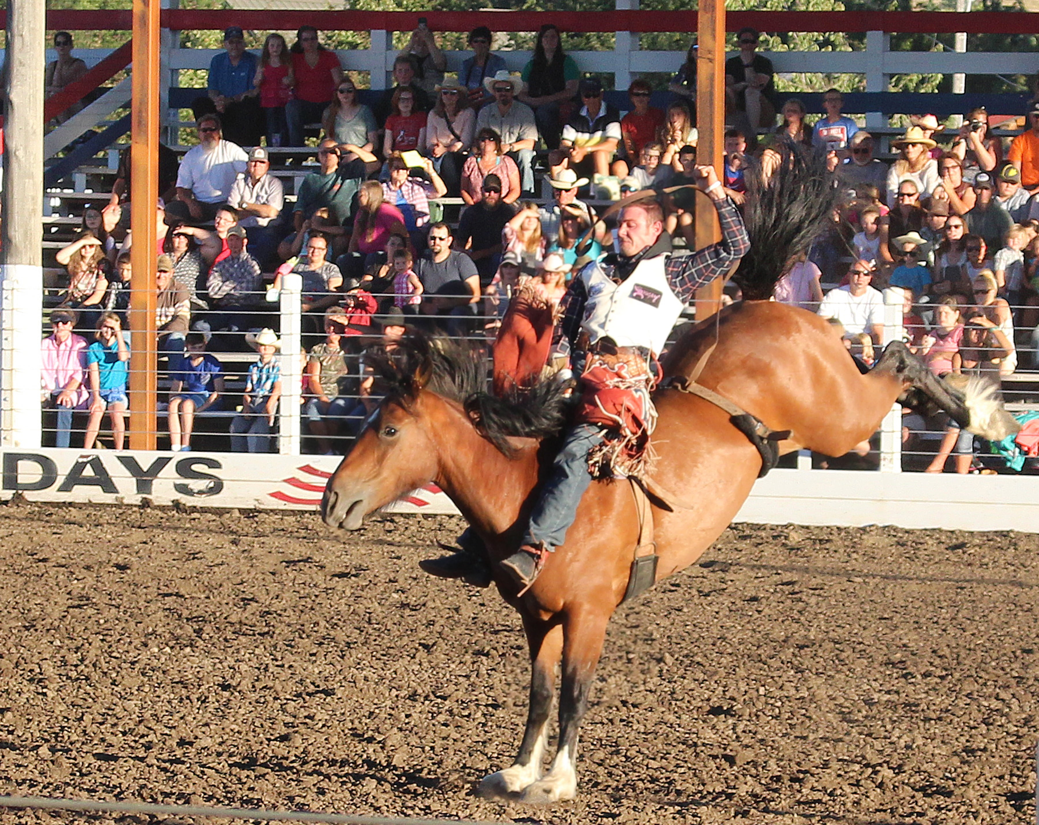 watching, western, rodeo, competitive Sport, american, benches, people, real people, man, day, animal, rider, looking, kicking, outdoors, mammal, riding, HD Wallpaper